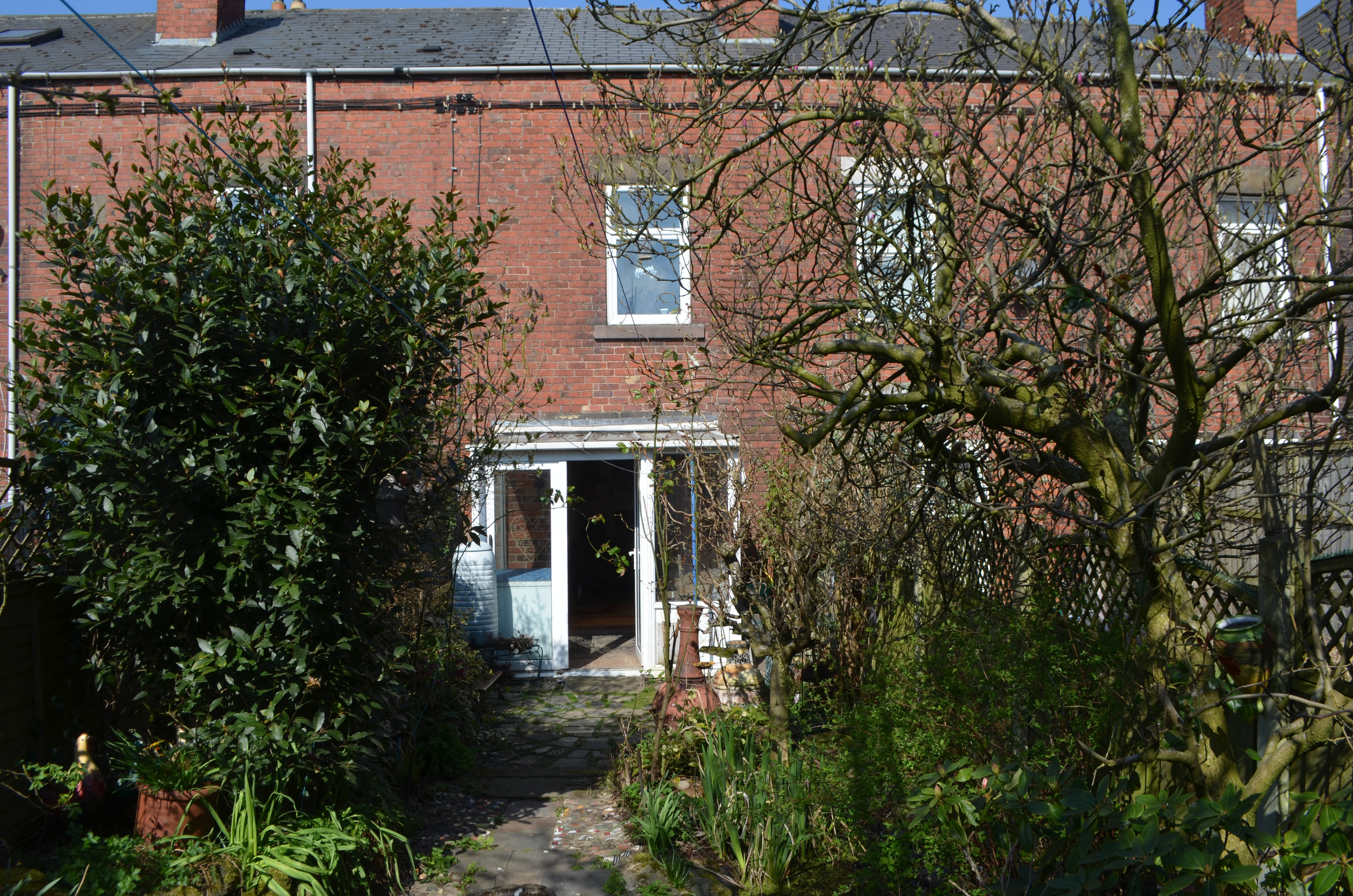 Rear View