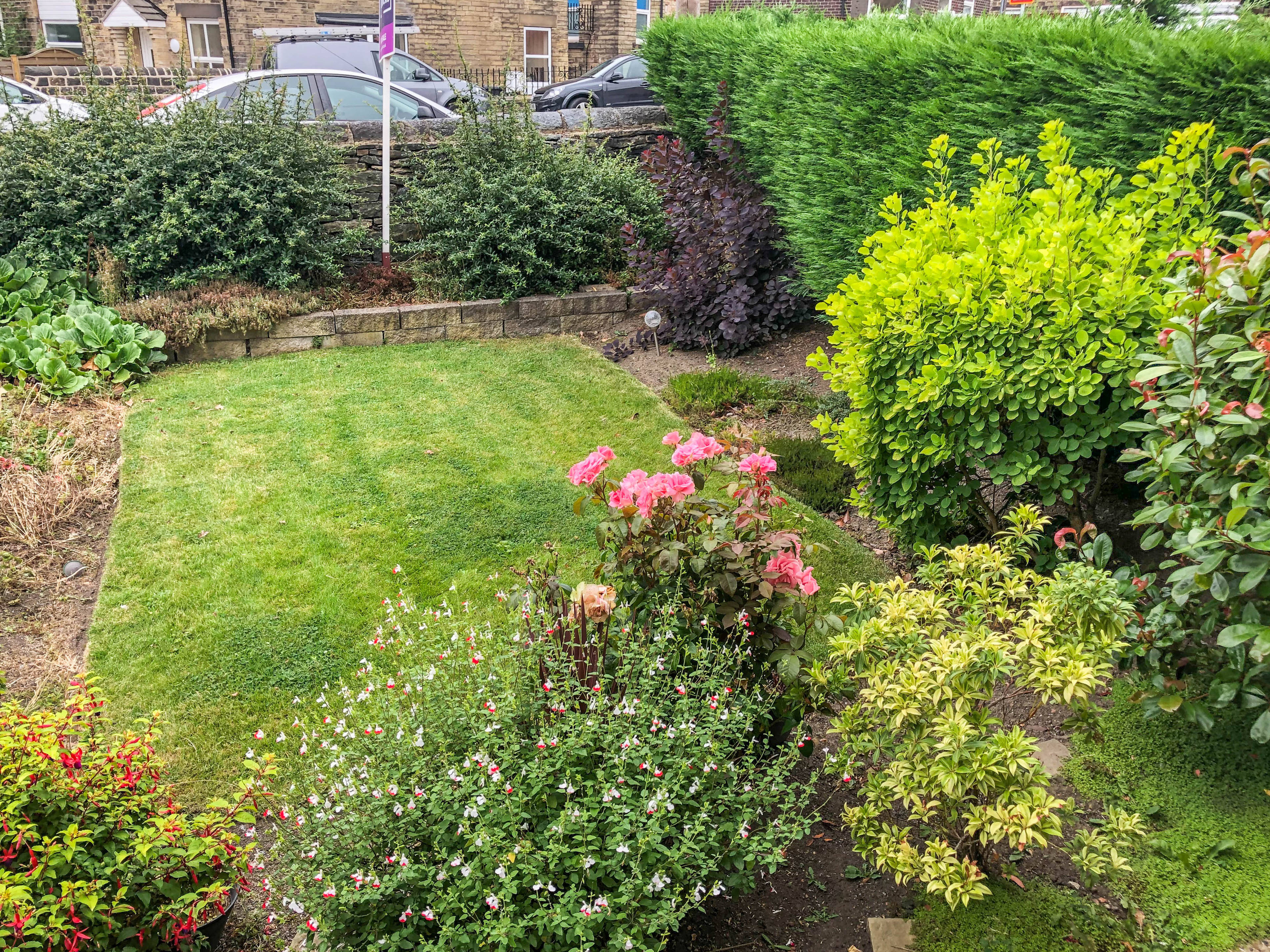 Front Garden