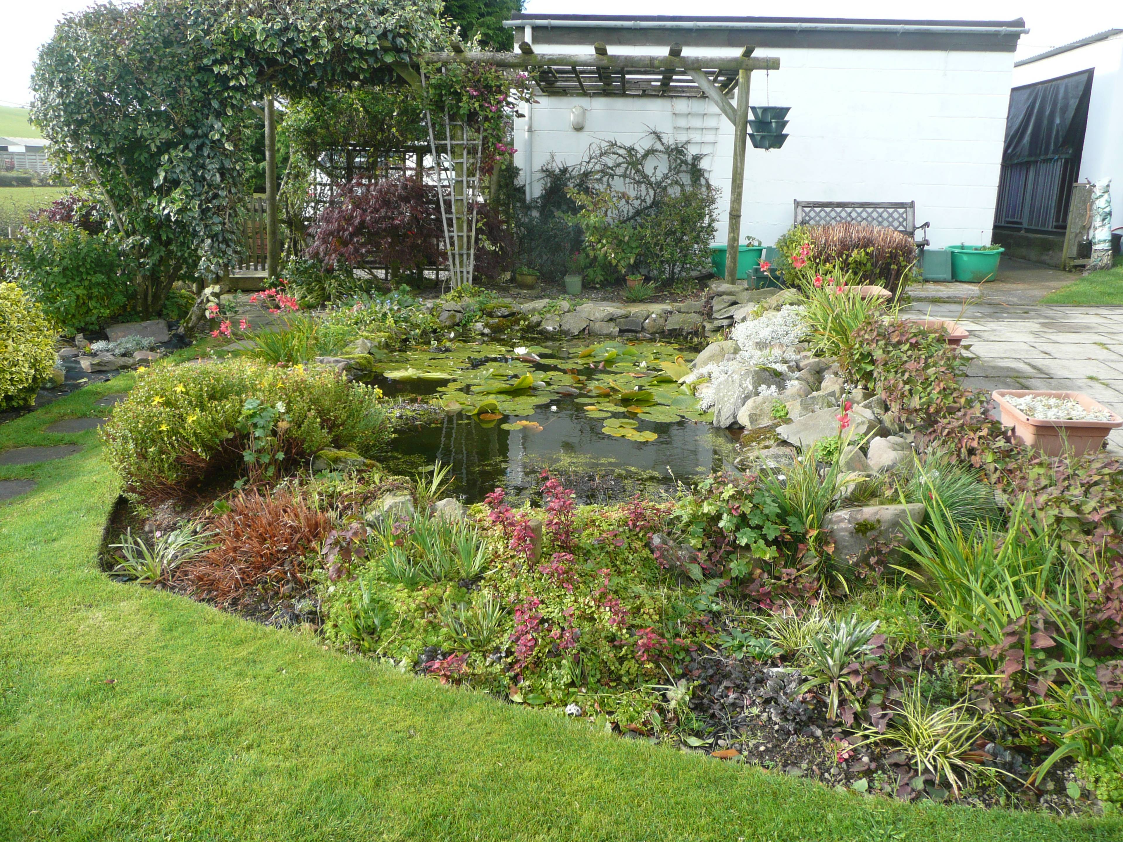 Pond
