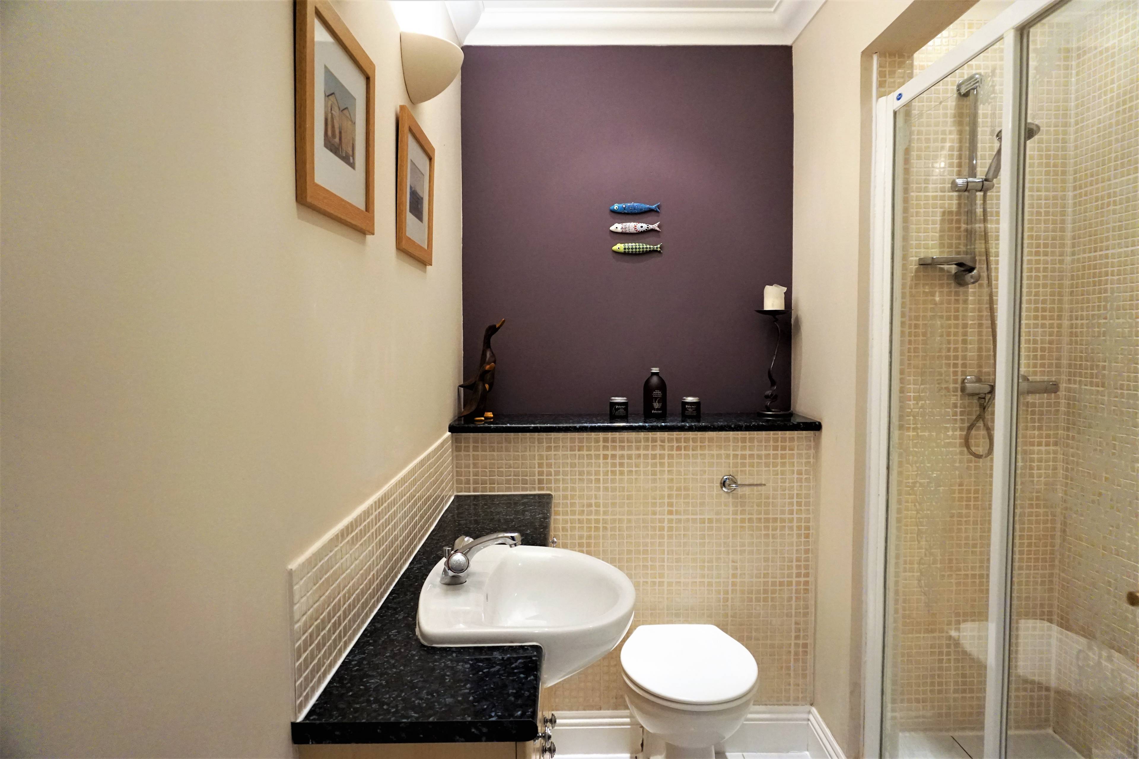 Downstairs Shower