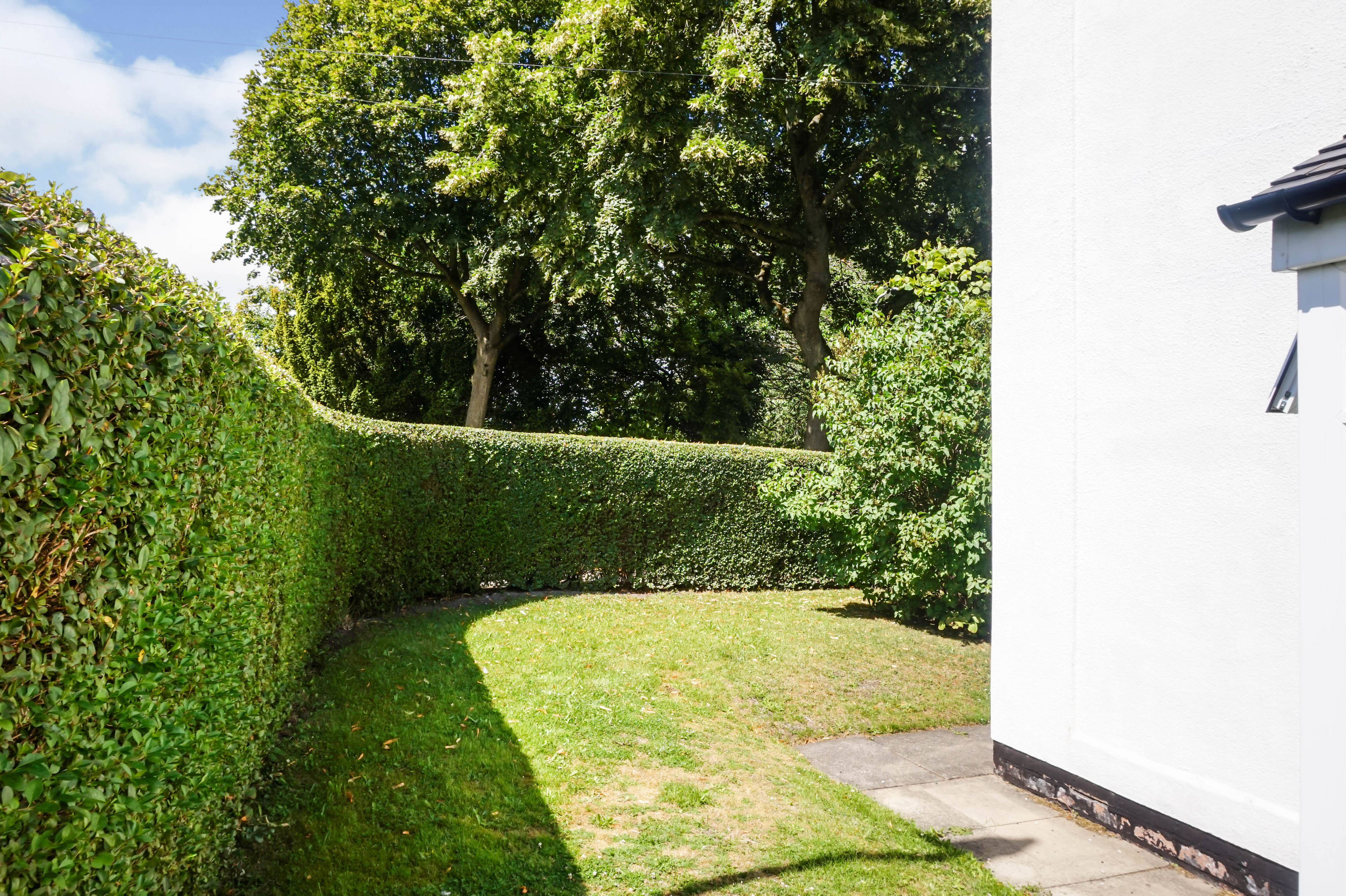 Side Garden