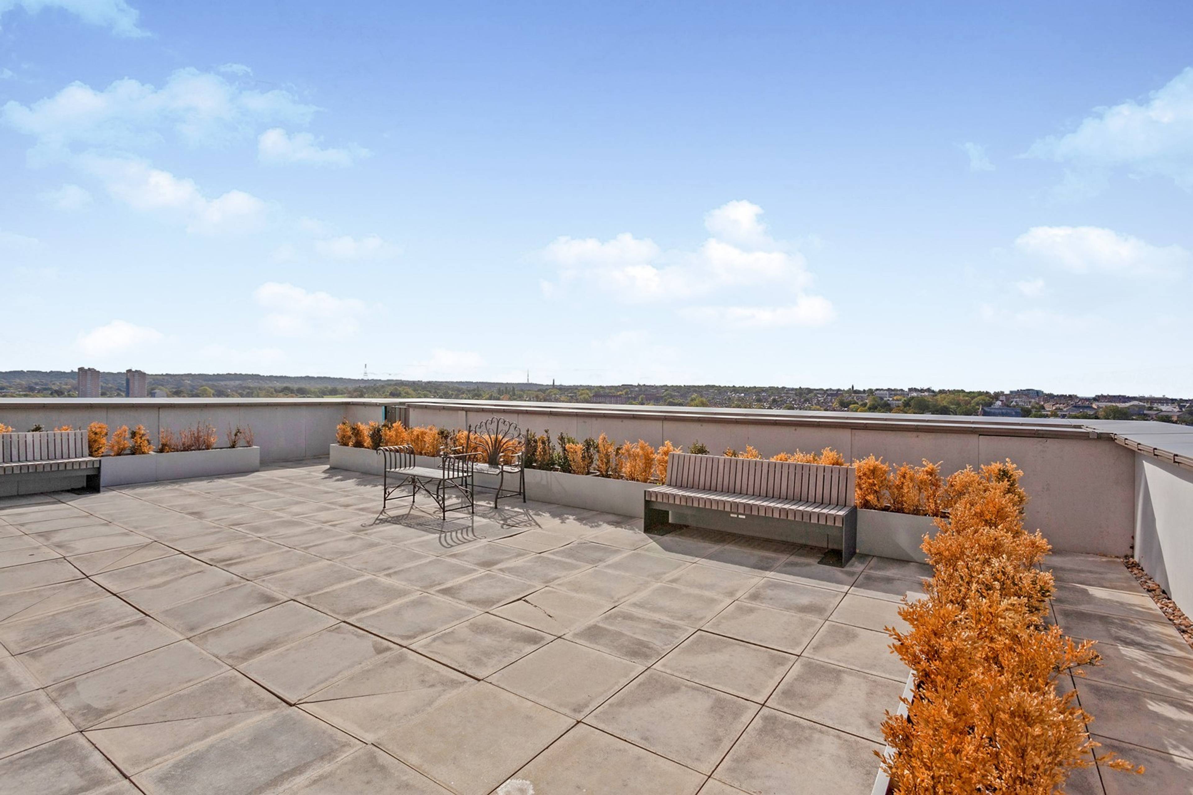 Roof Terrace