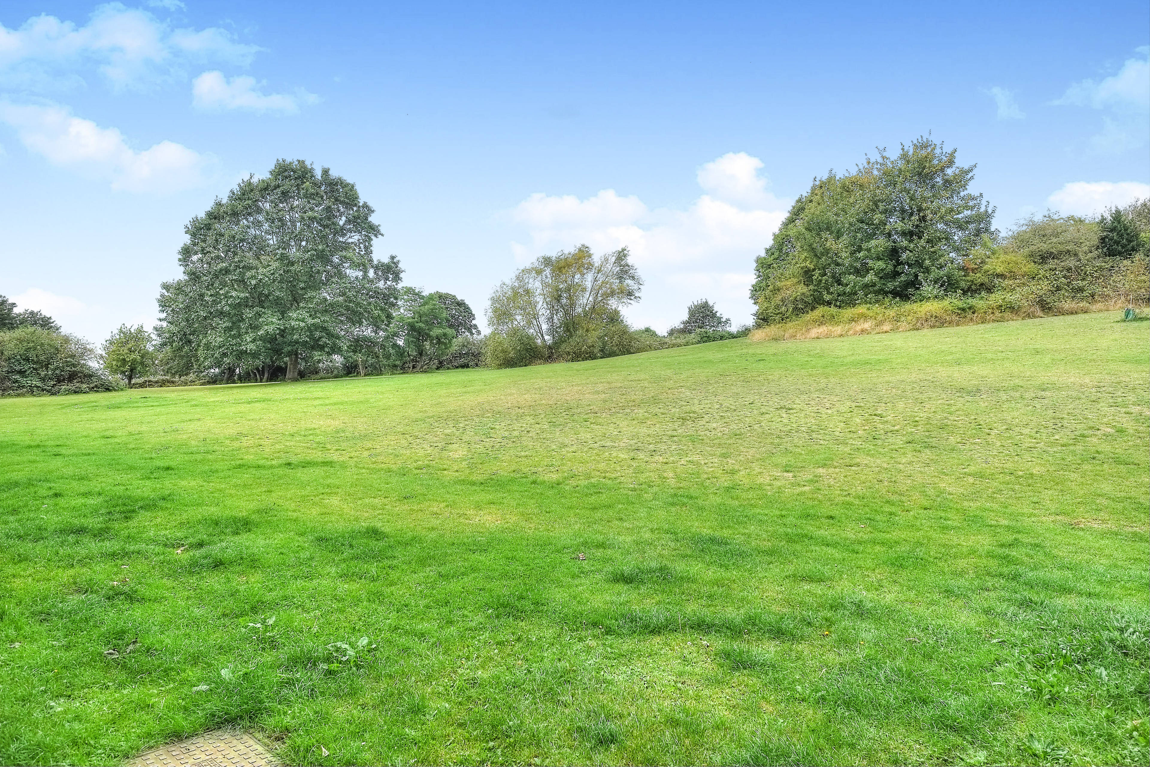 Surrounding Area