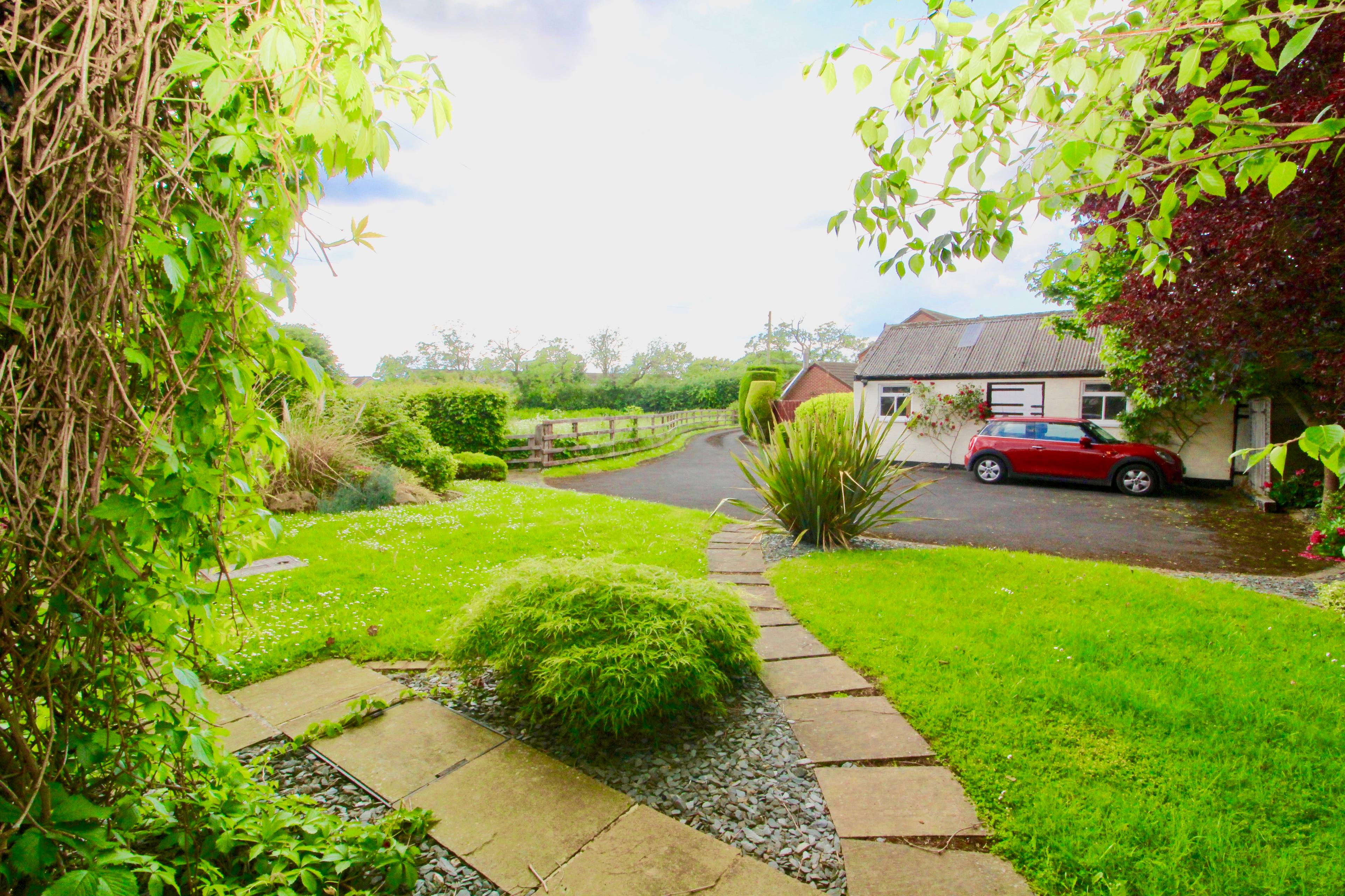 Side Garden