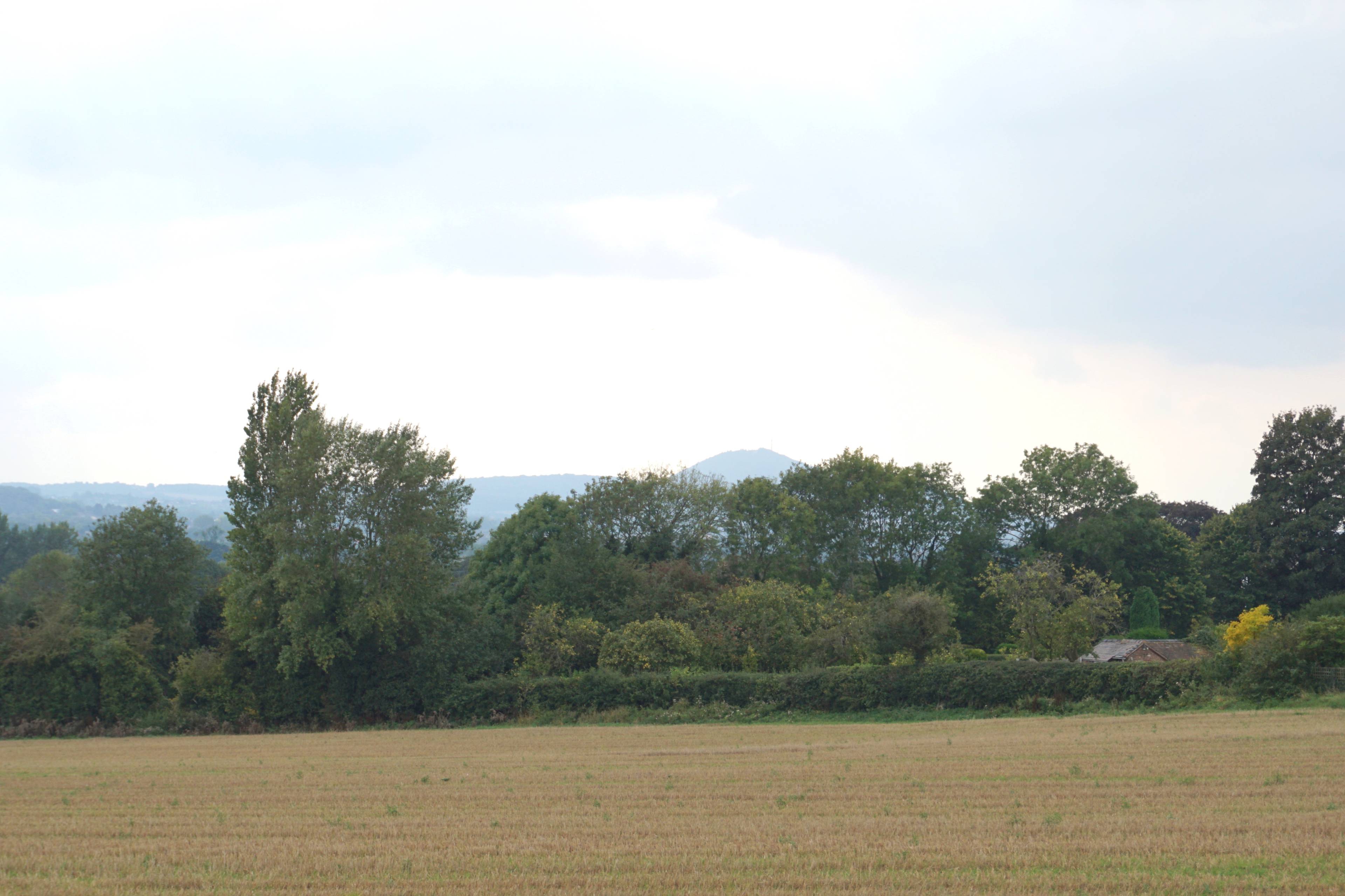 Local Area