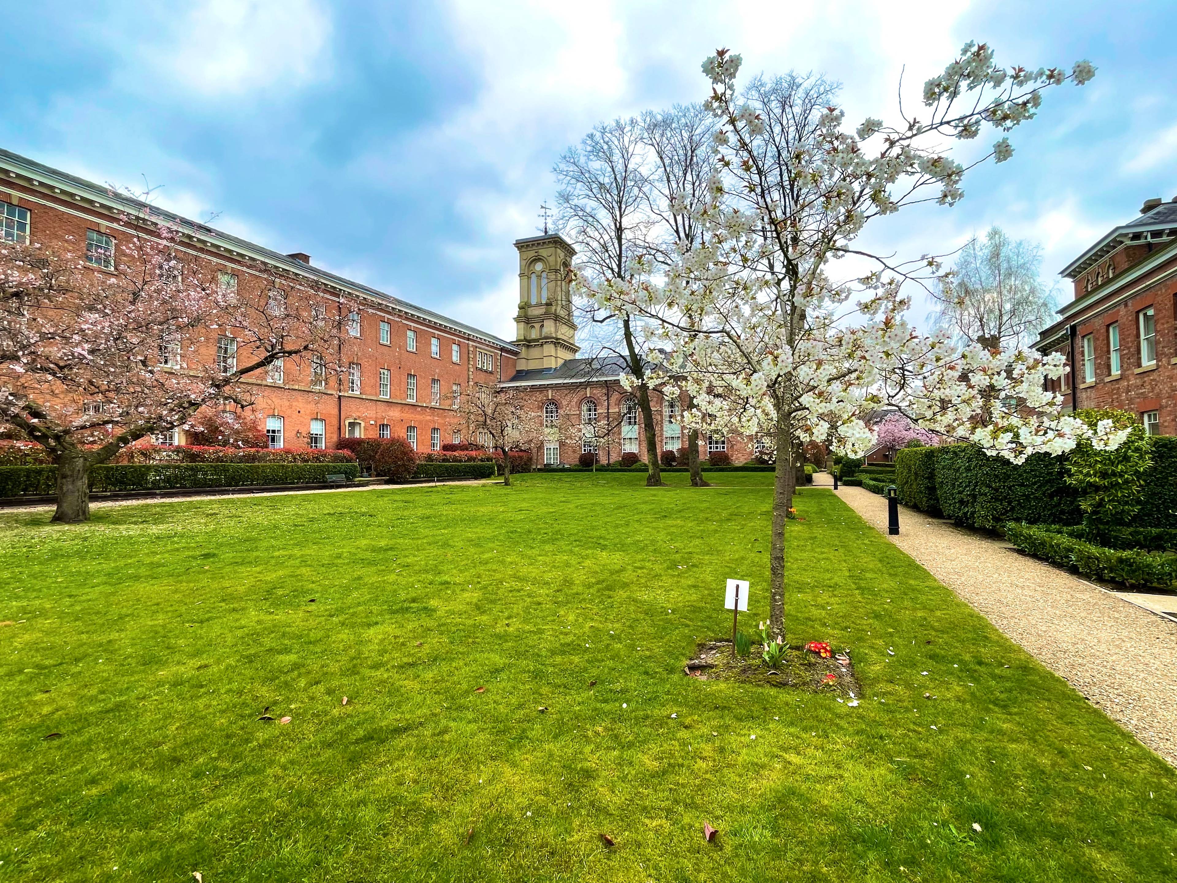 Communal Gardens