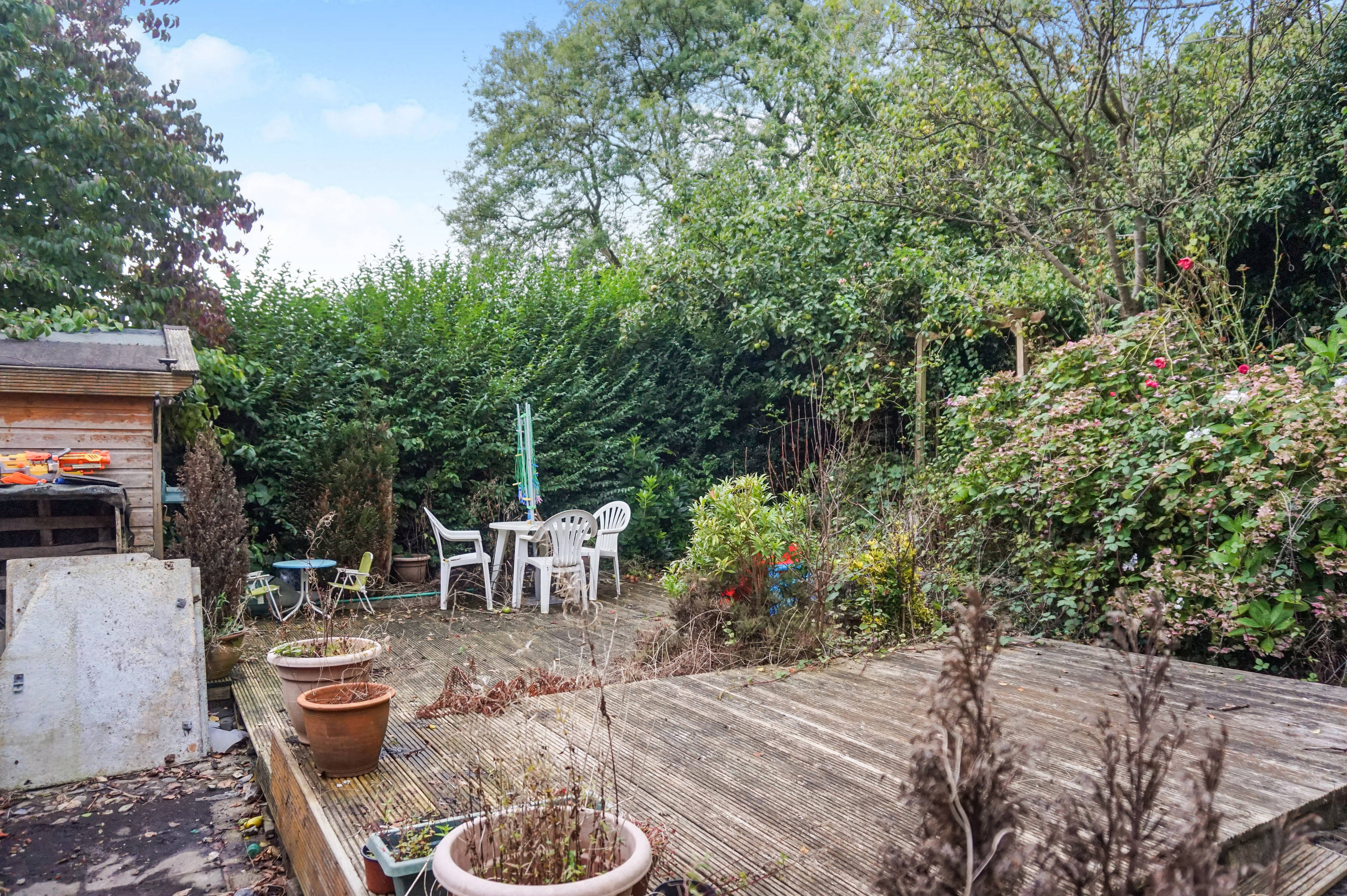 Garden