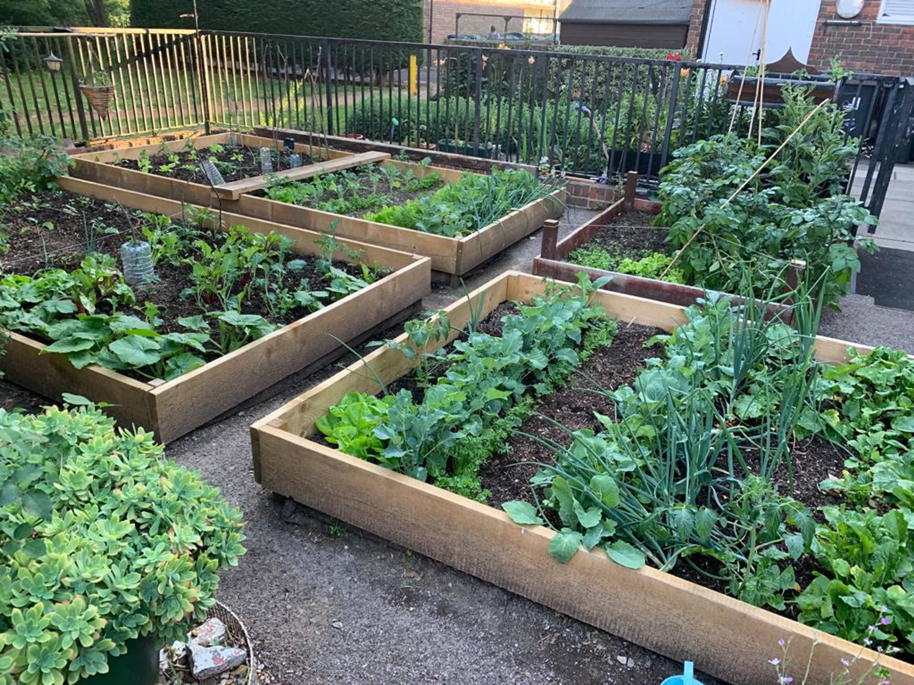 Communal Gardens