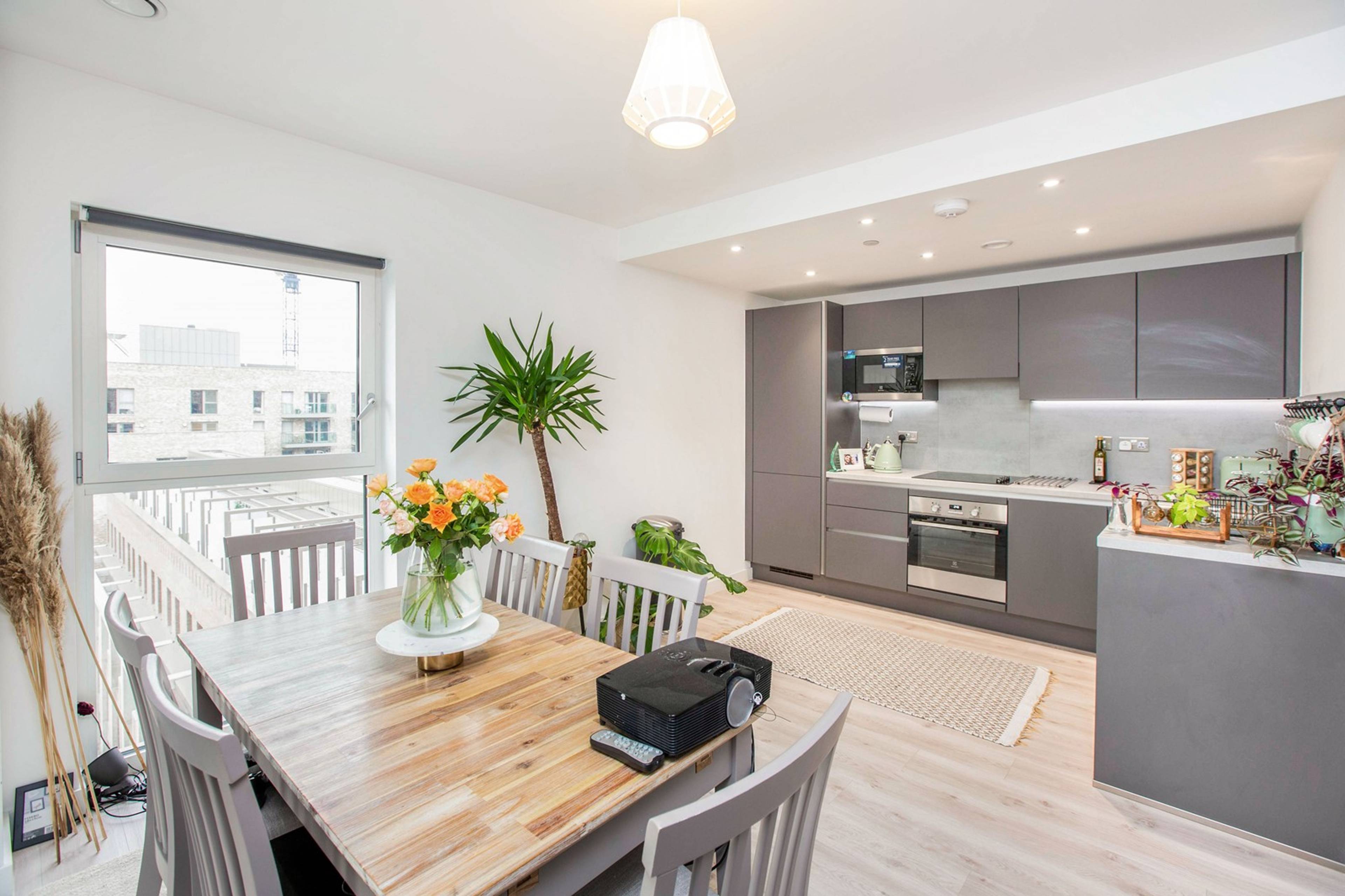 Lounge / Kitchen
