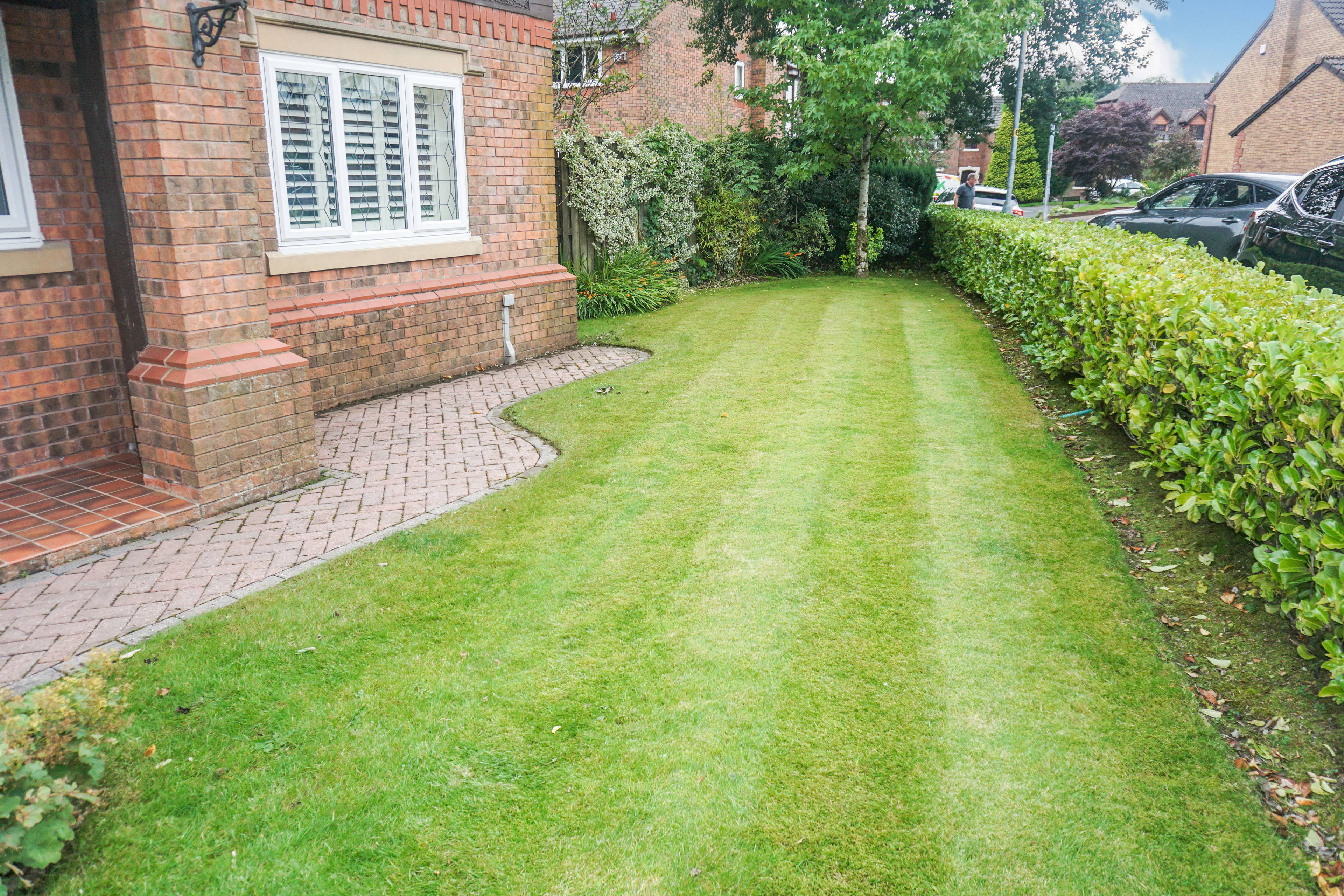 Front Garden