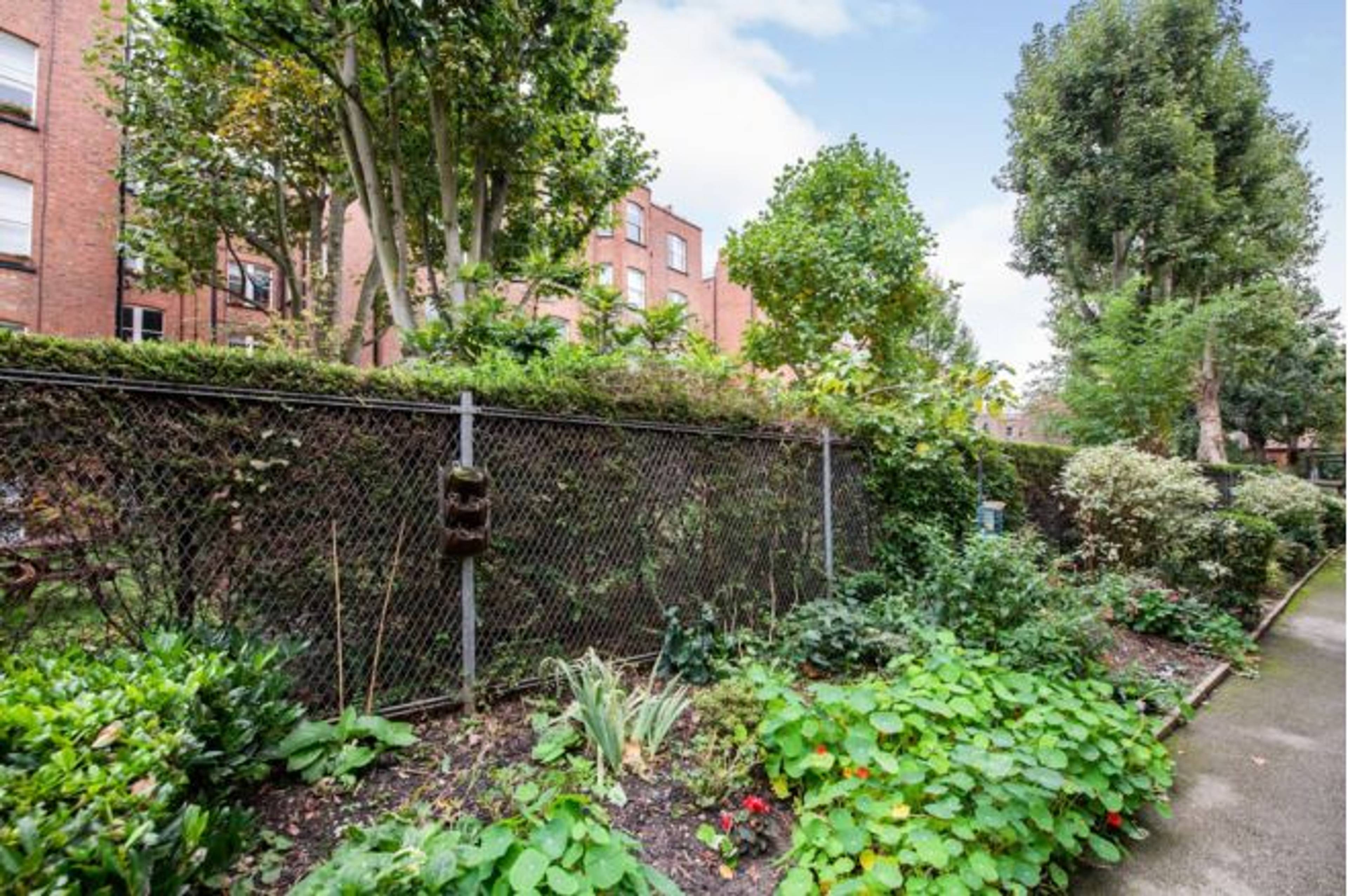 Communal Courtyard