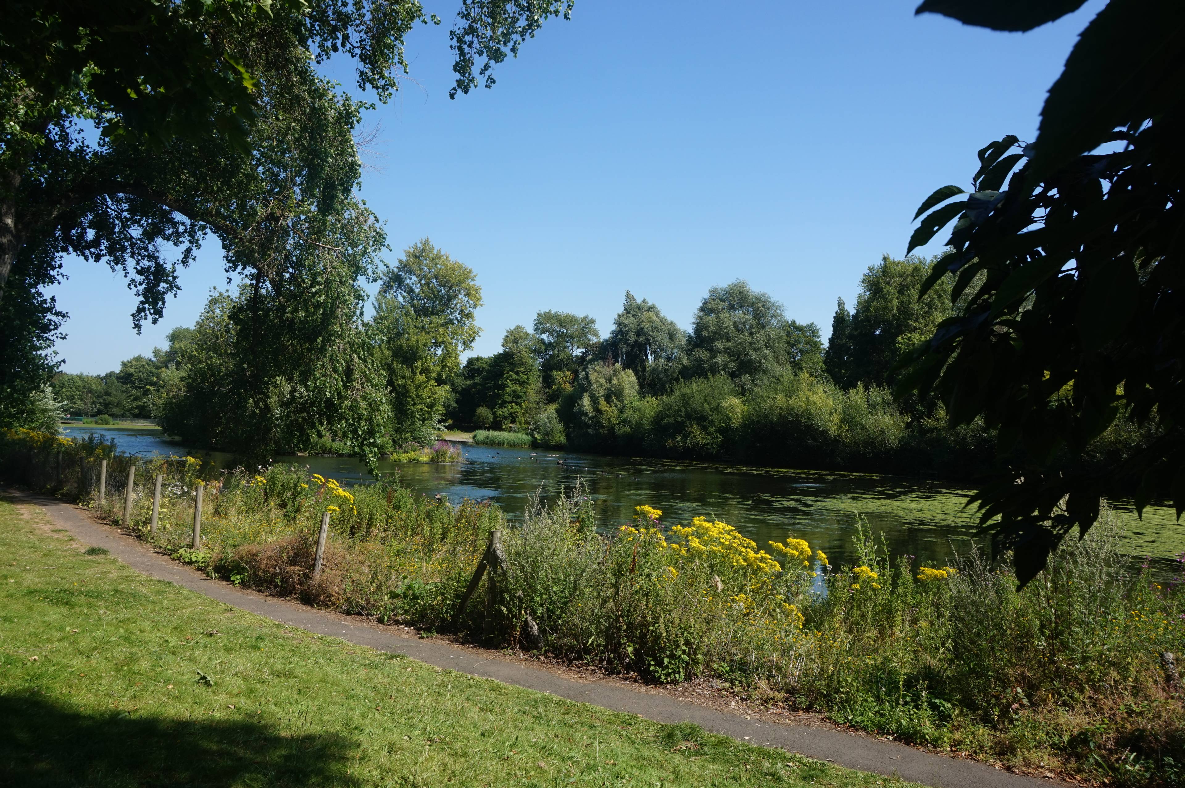 Nearby Park