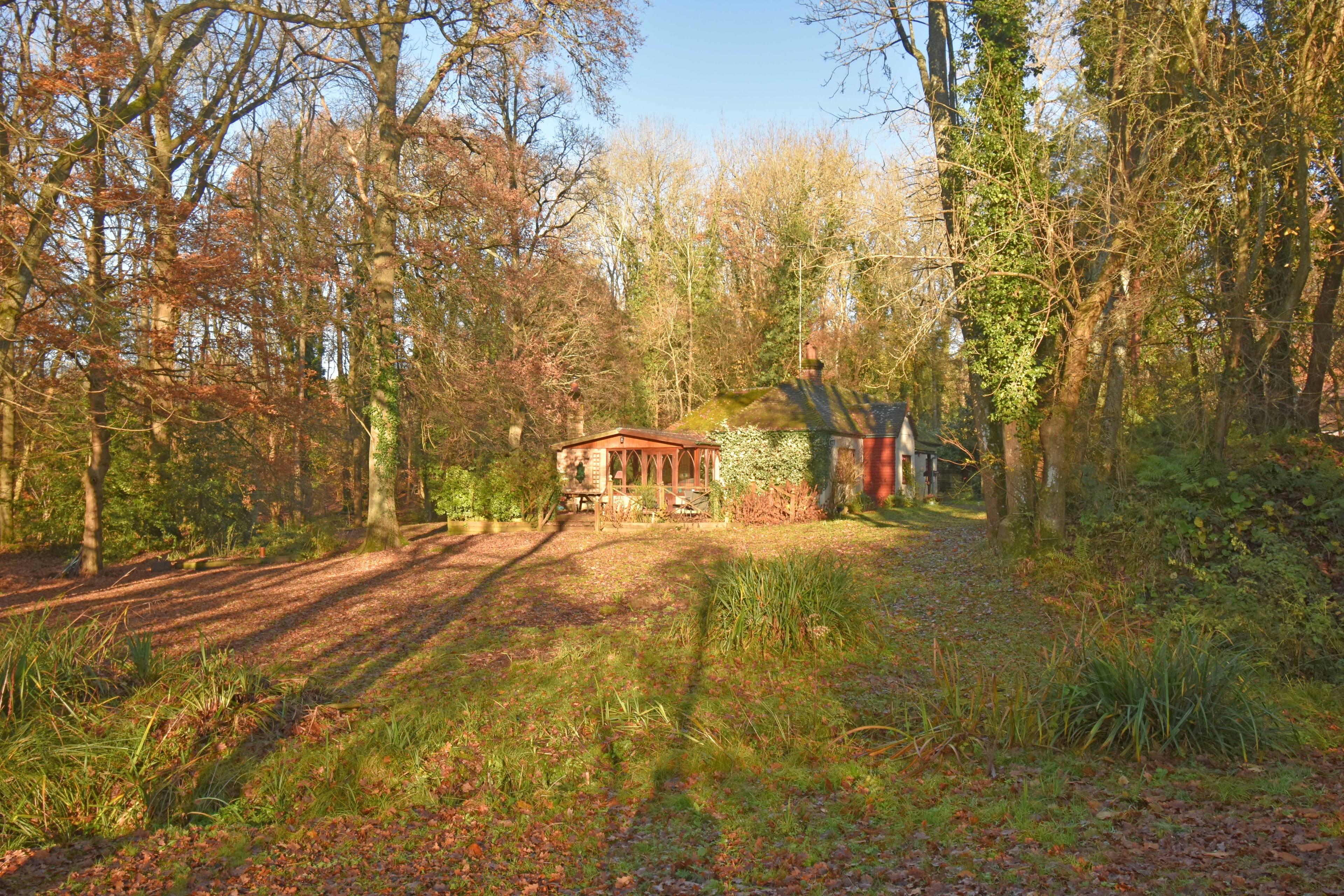 Grounds