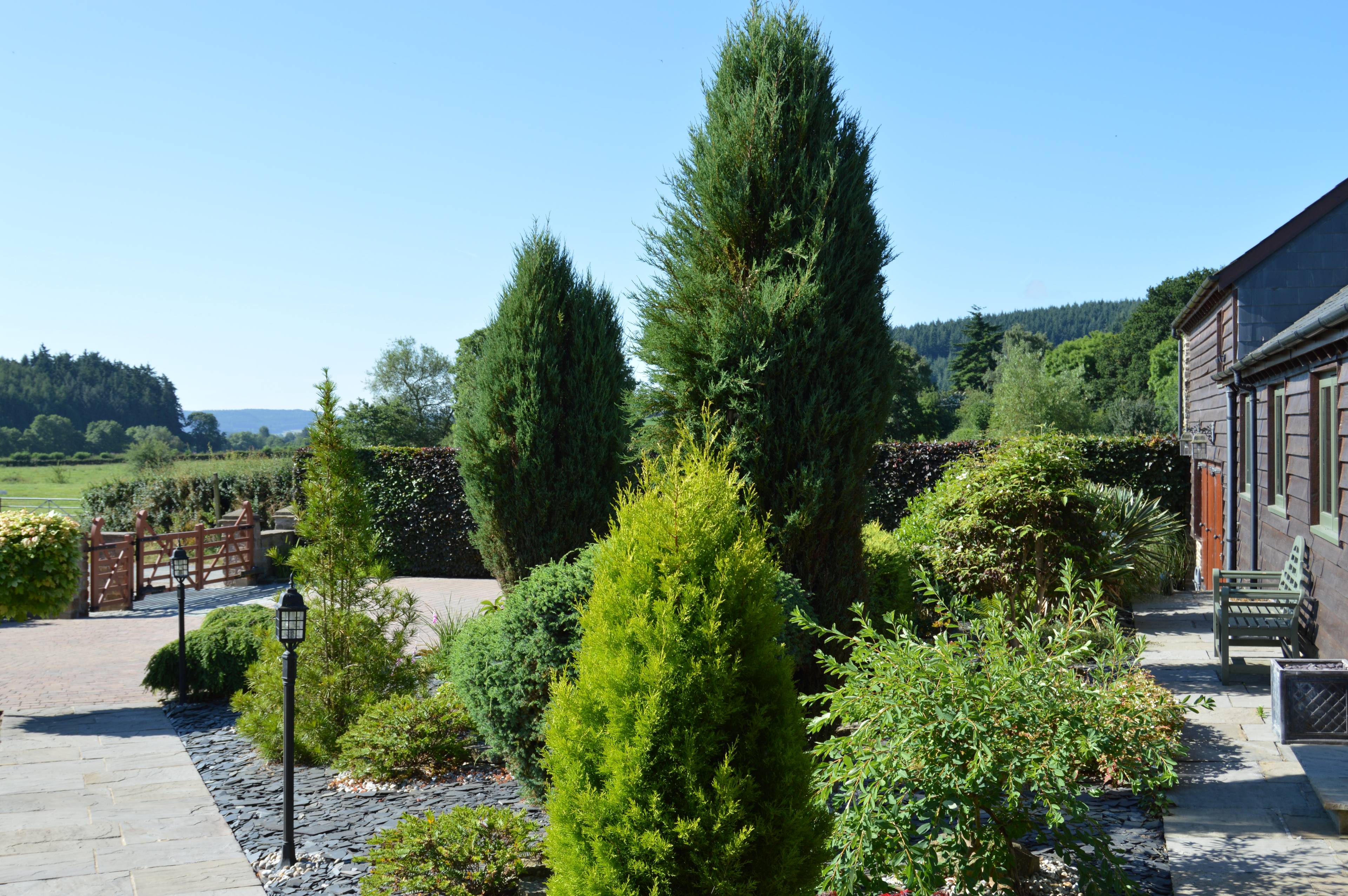 Front Garden