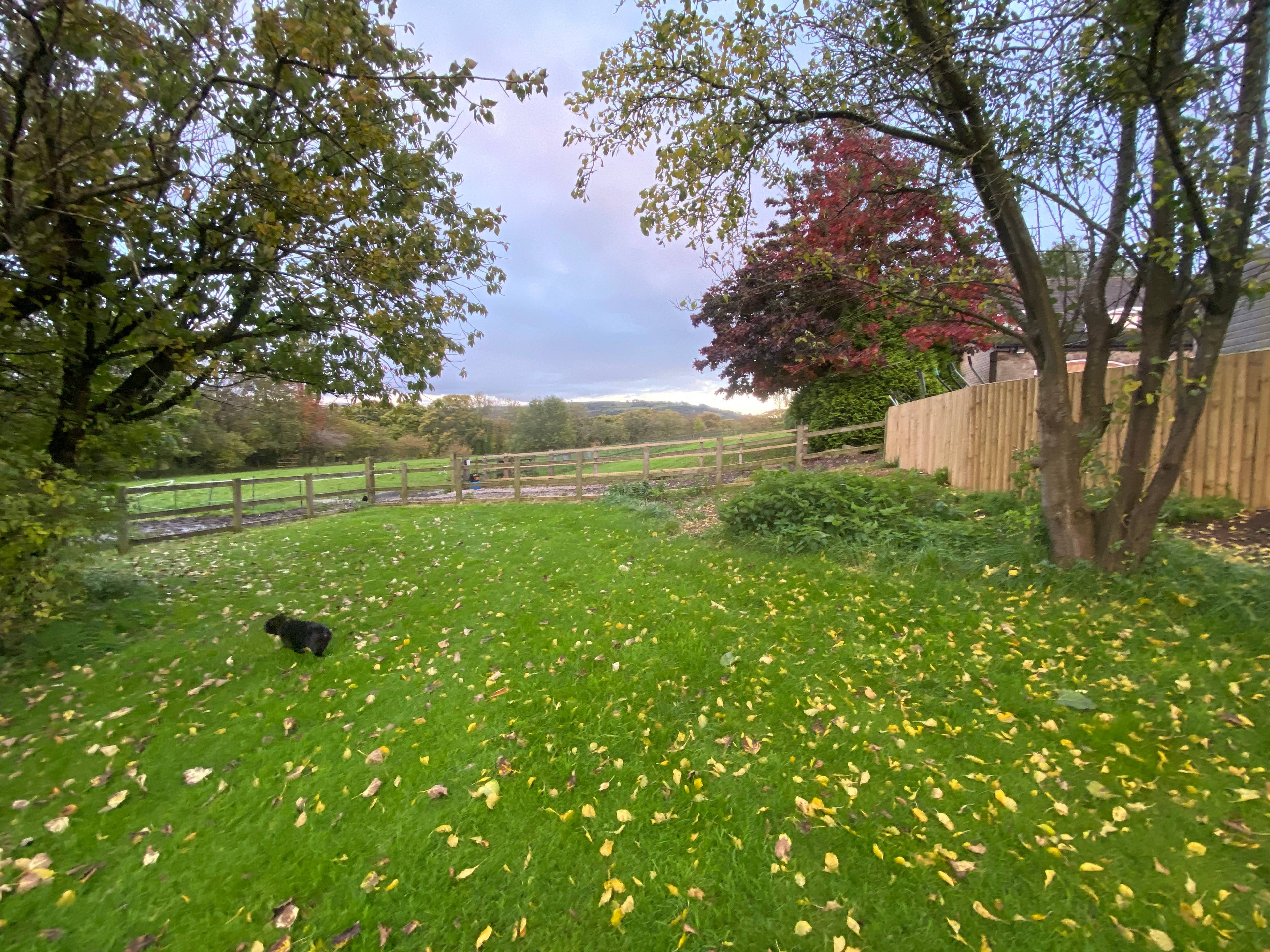 Land