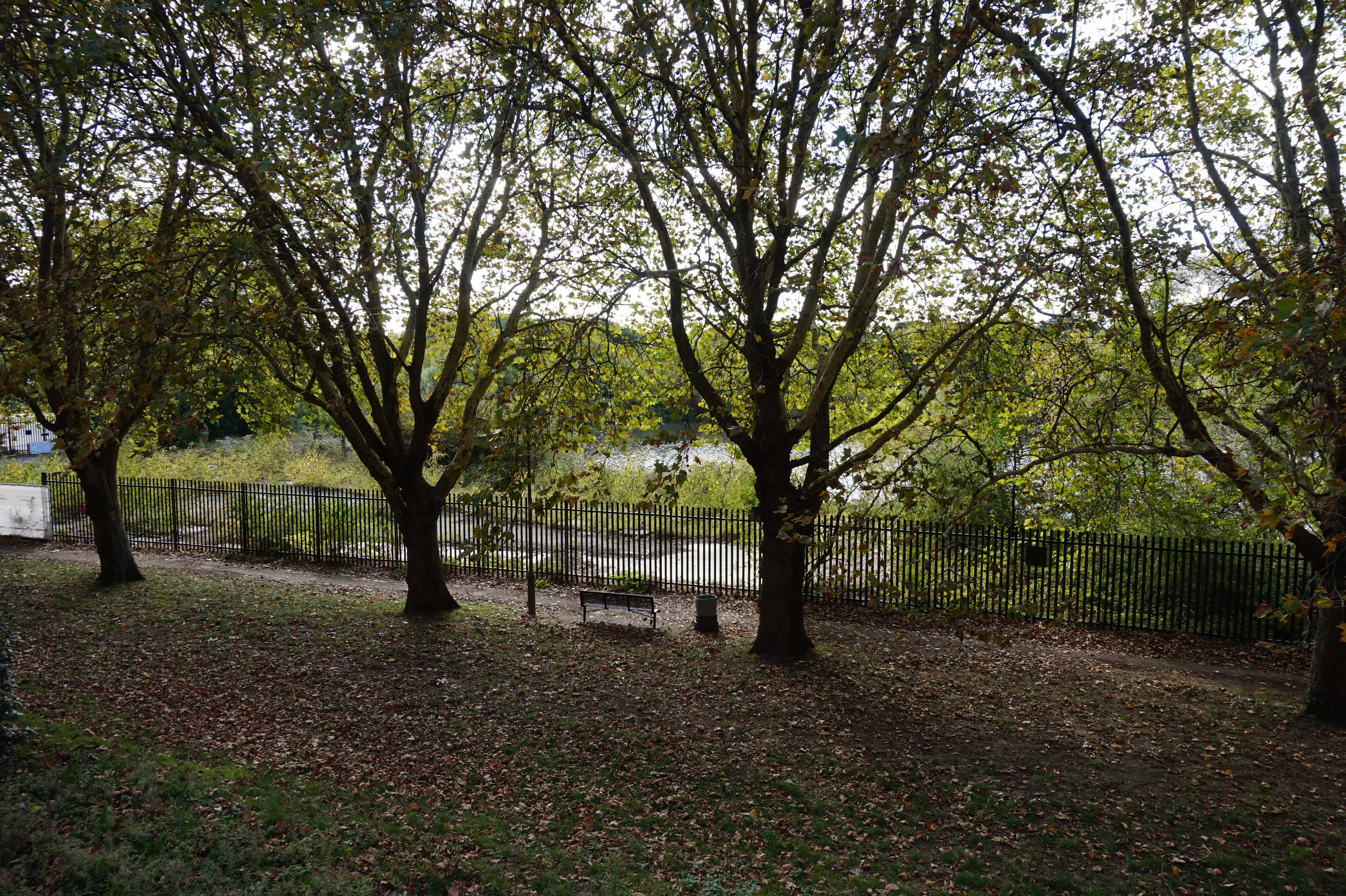 Location