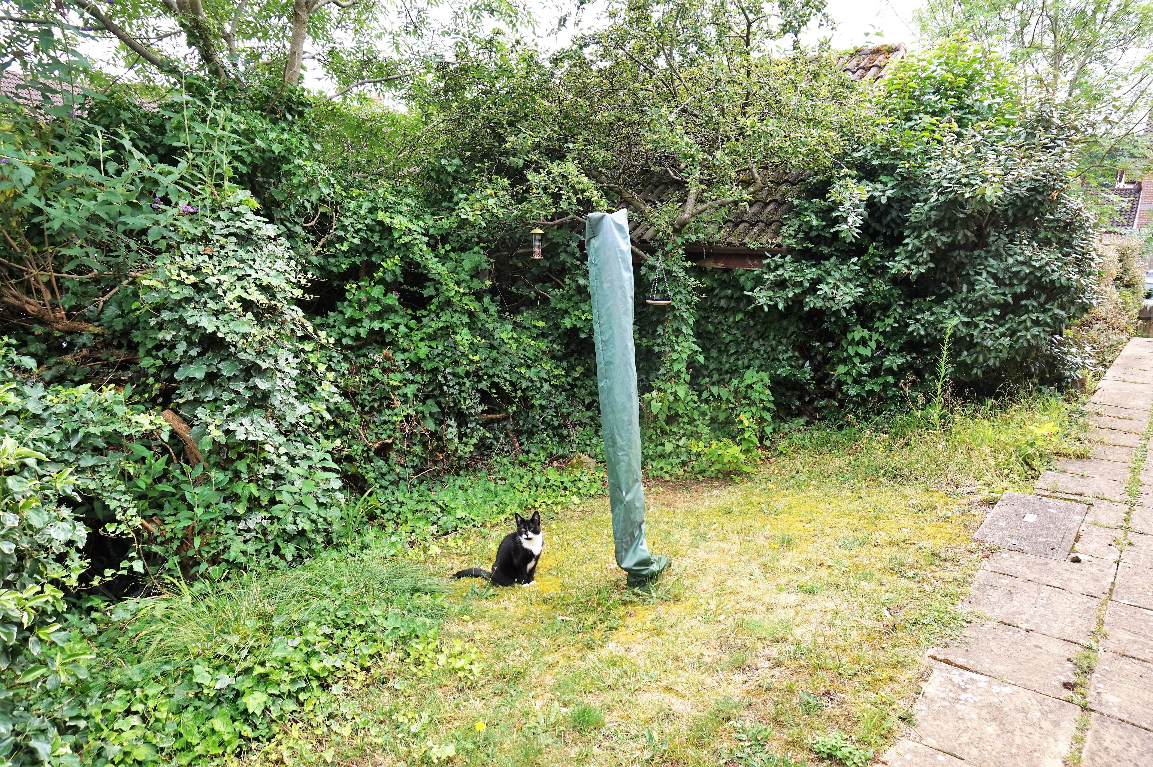 Front Garden