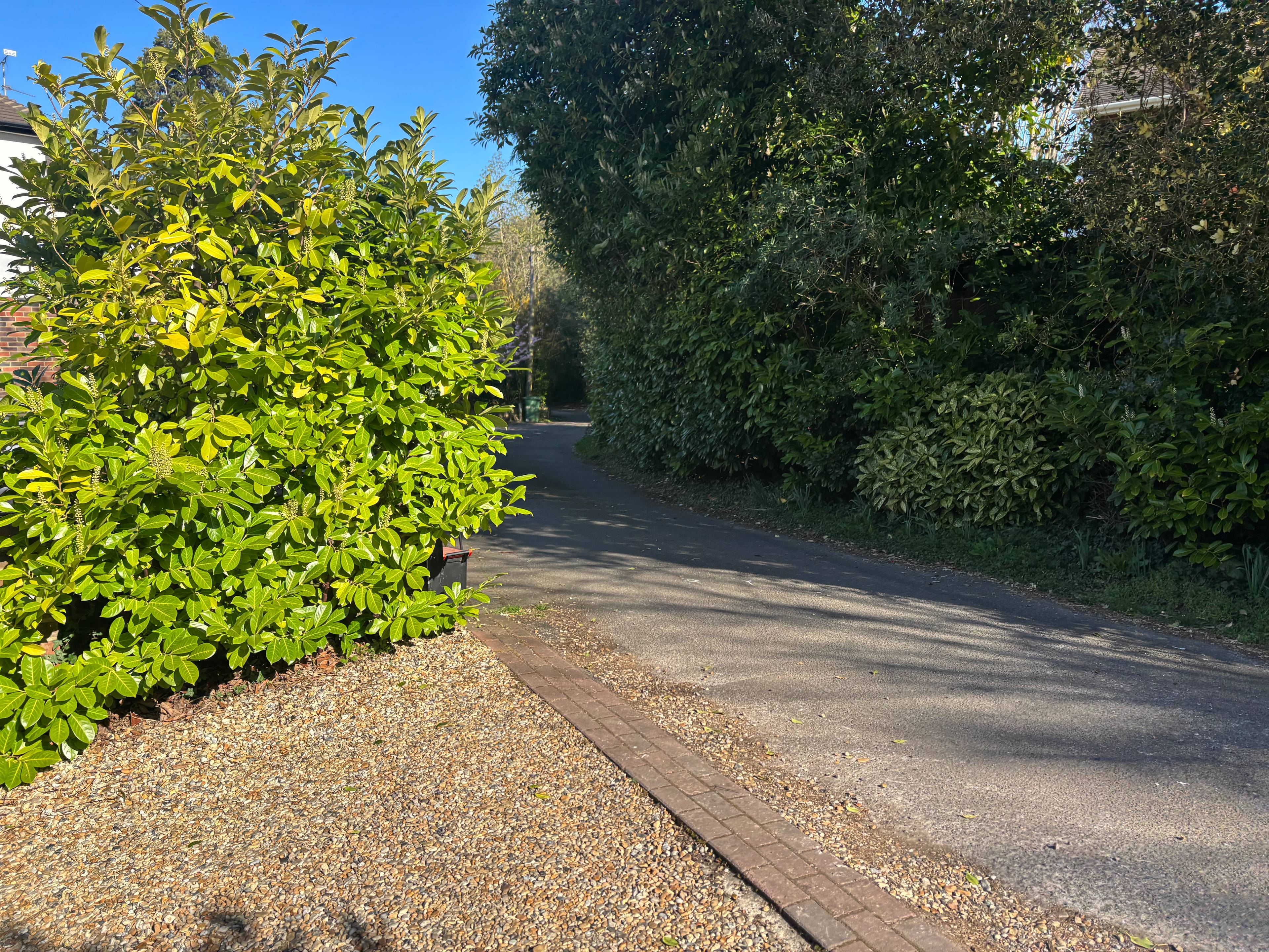 Driveway