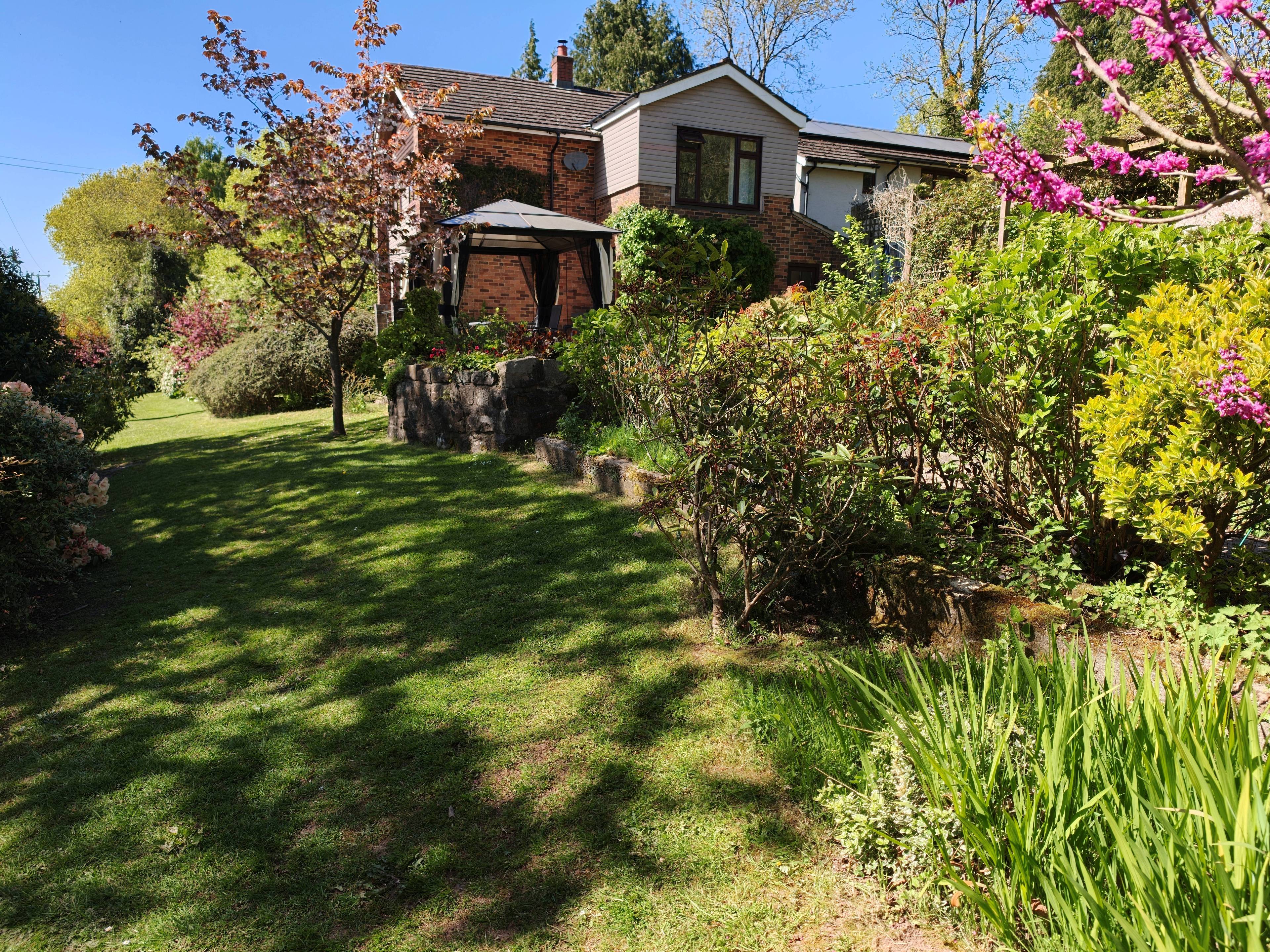 Side Garden