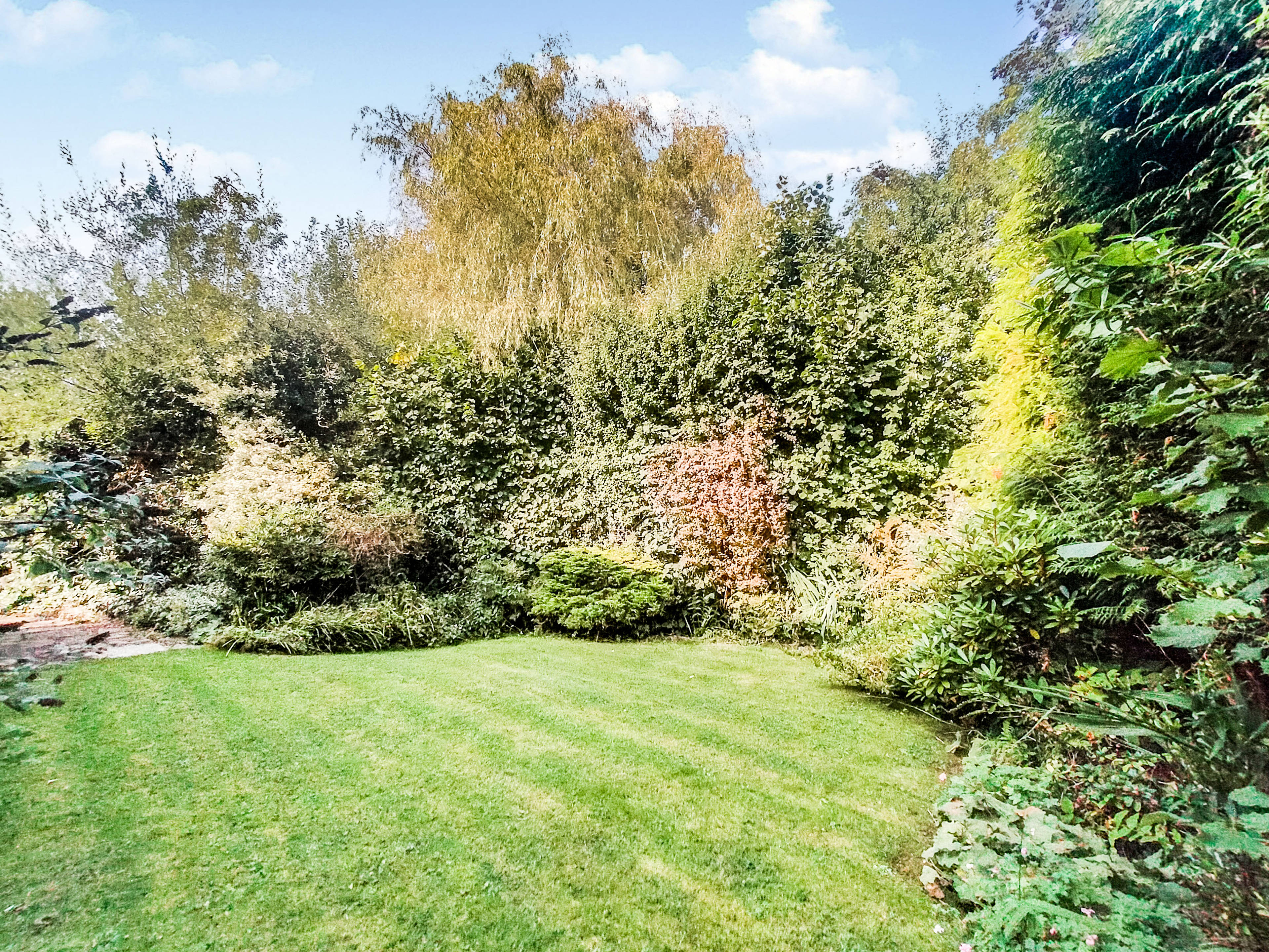 Side Garden