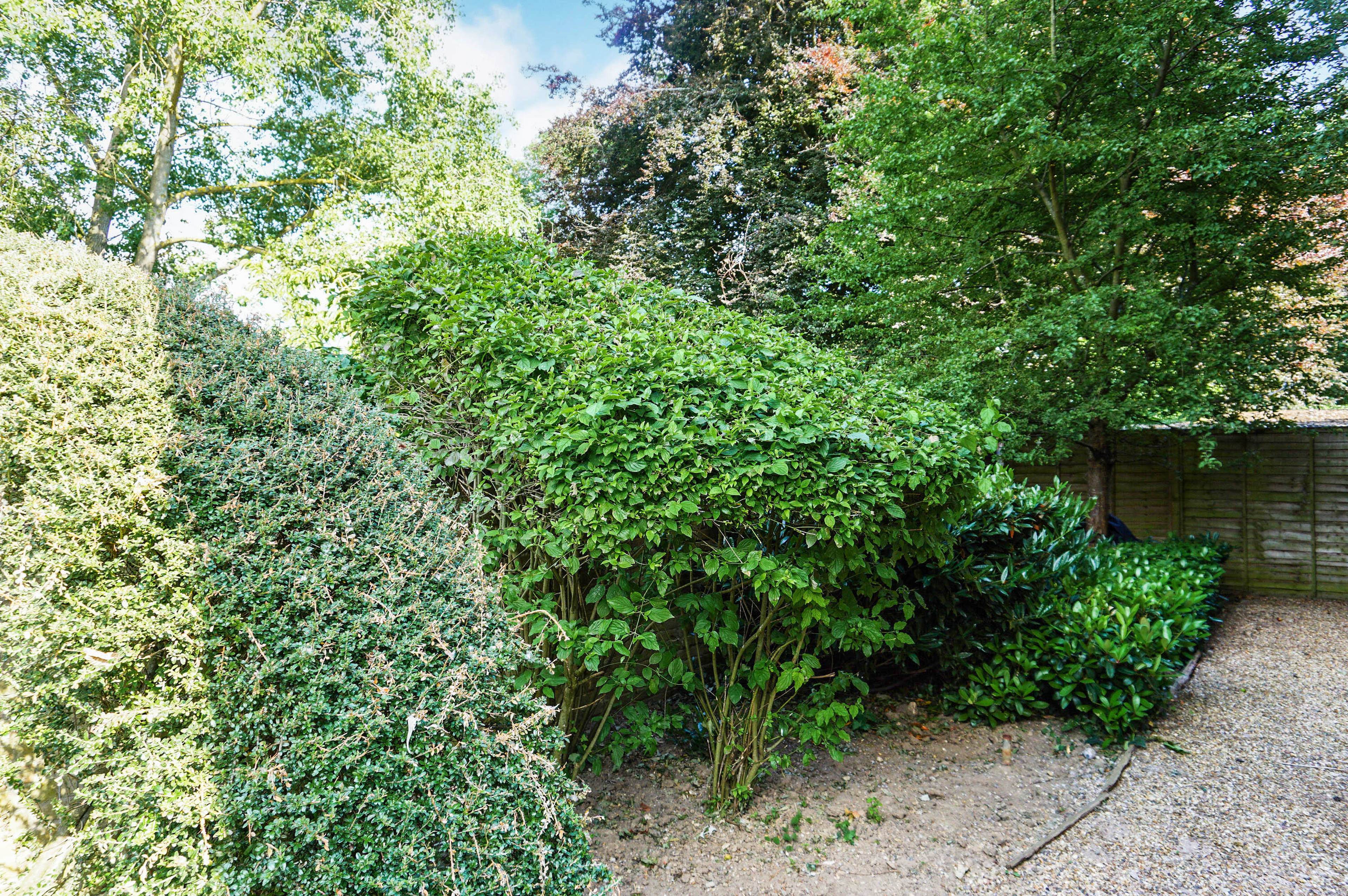 Communal Courtyard