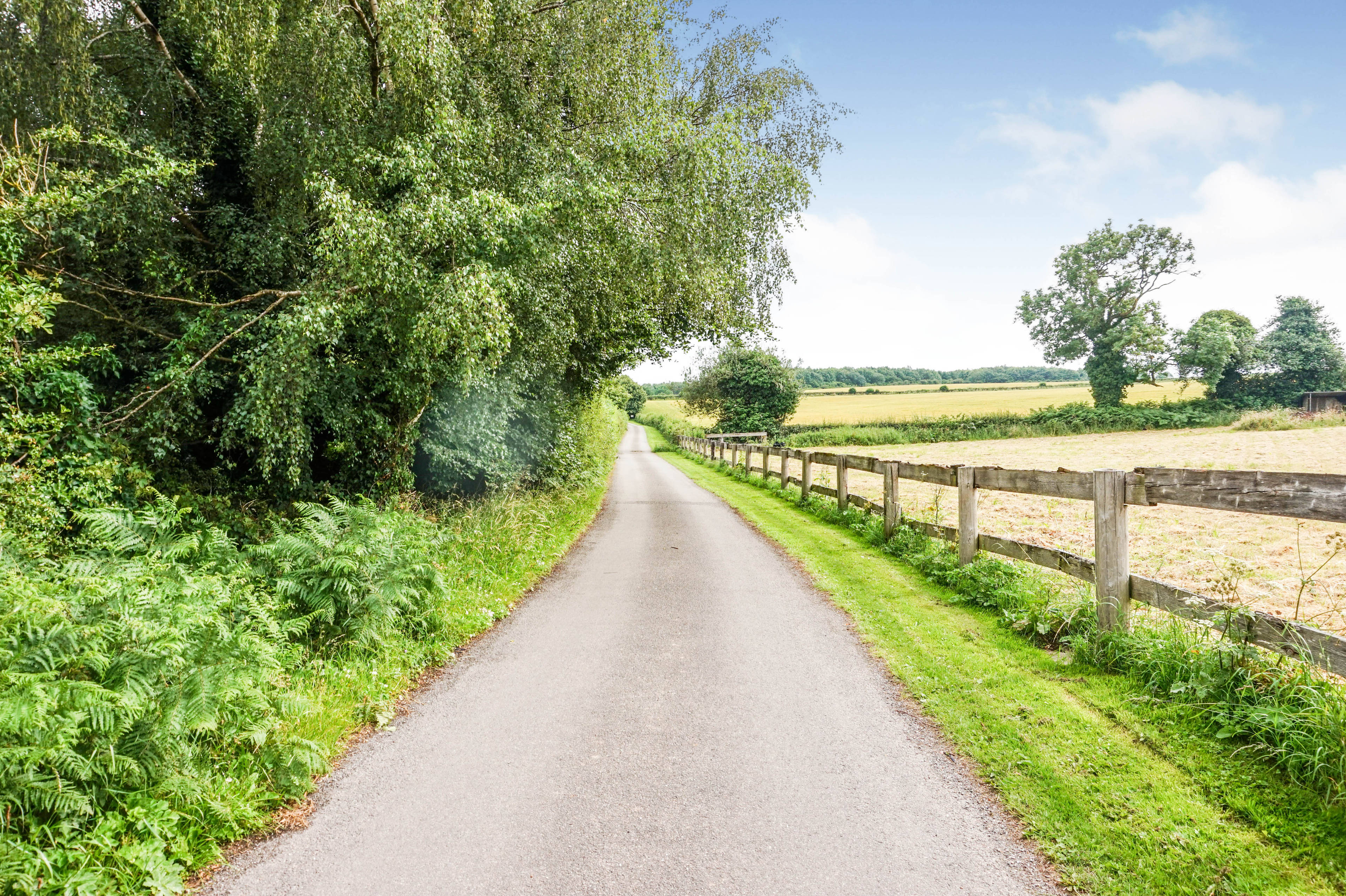 Driveway
