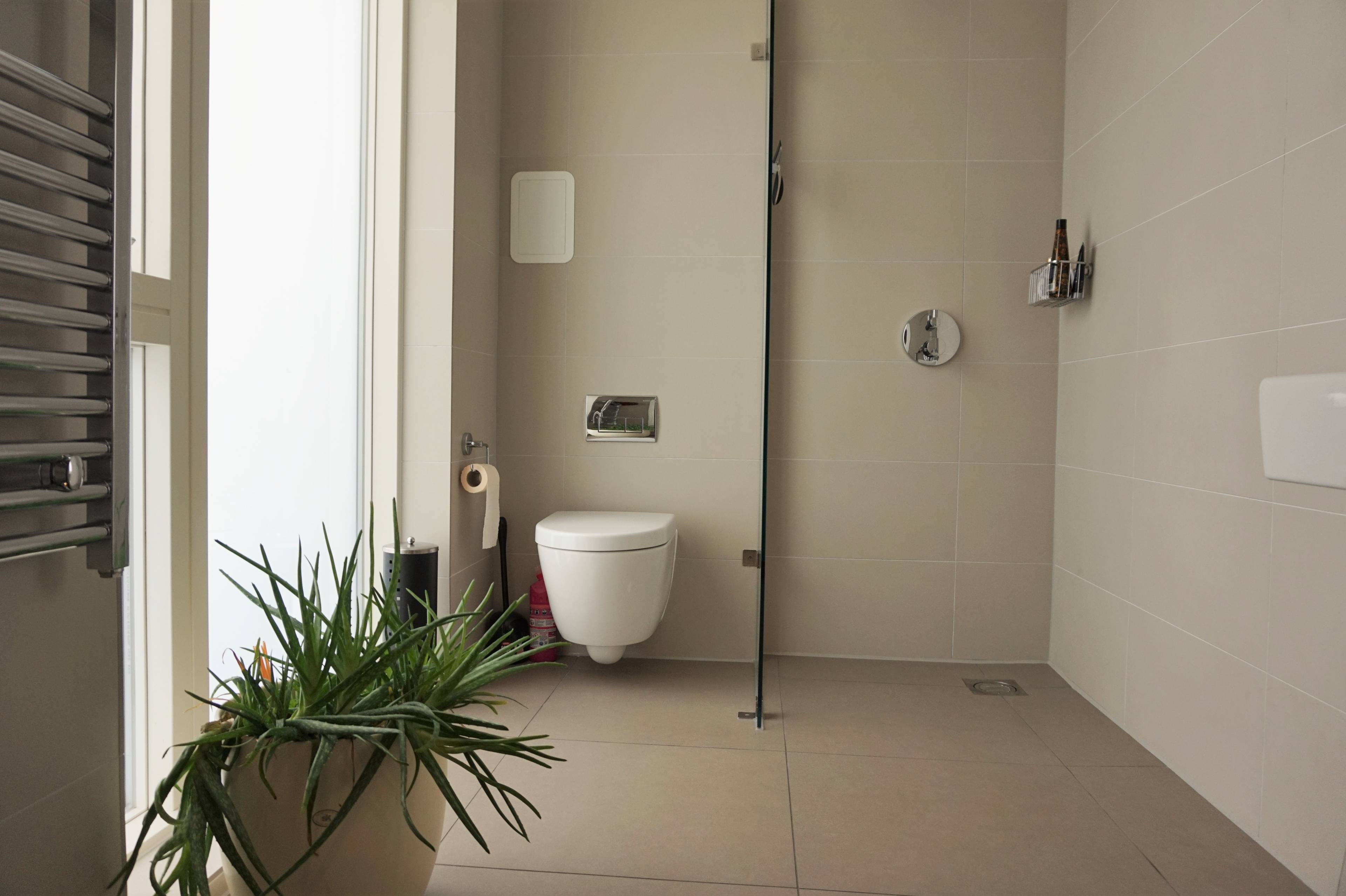 Downstairs Shower