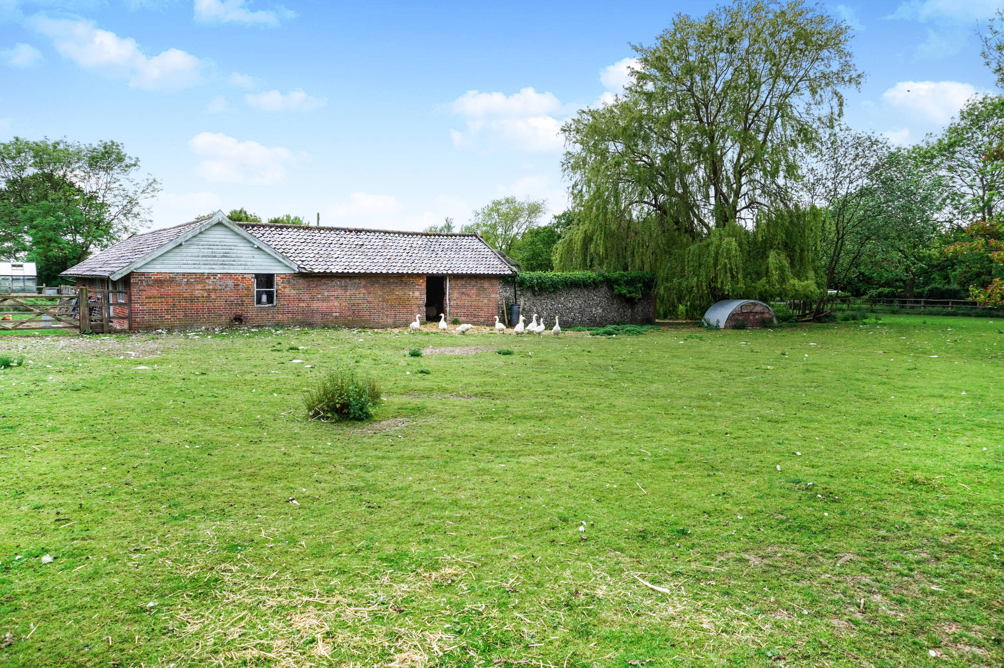 Grounds