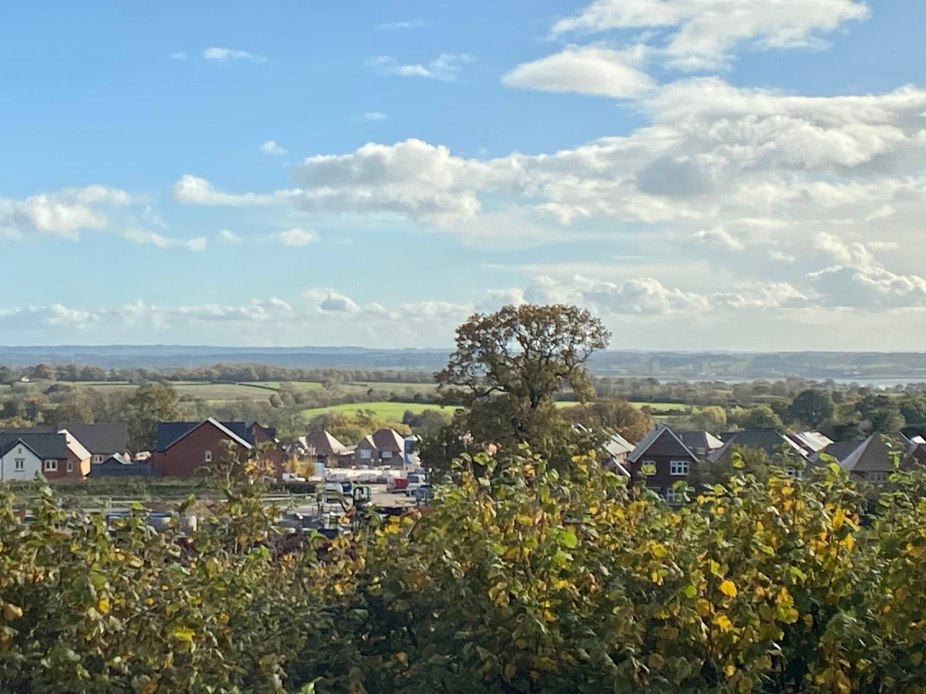 View