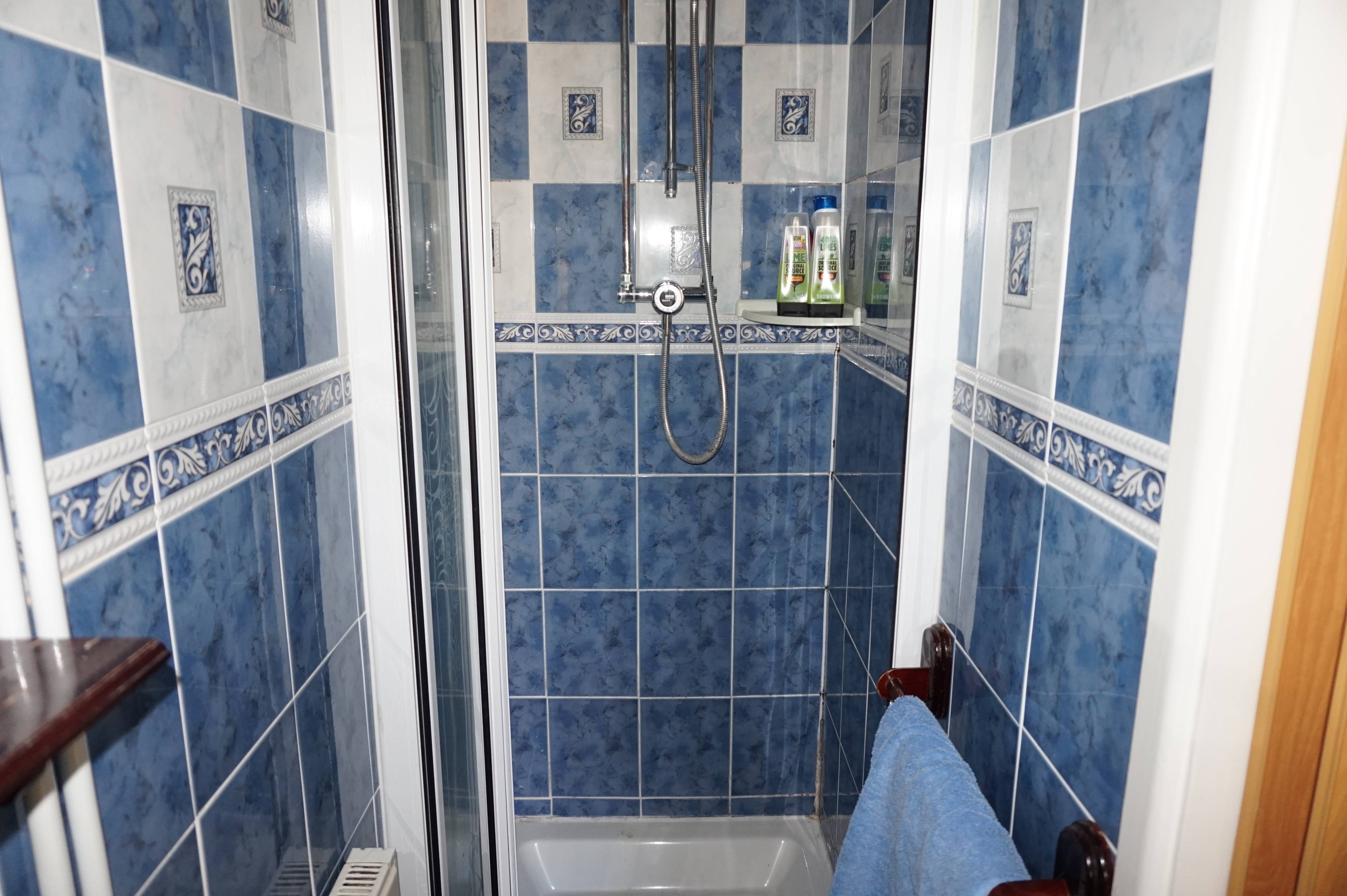Downstairs Shower