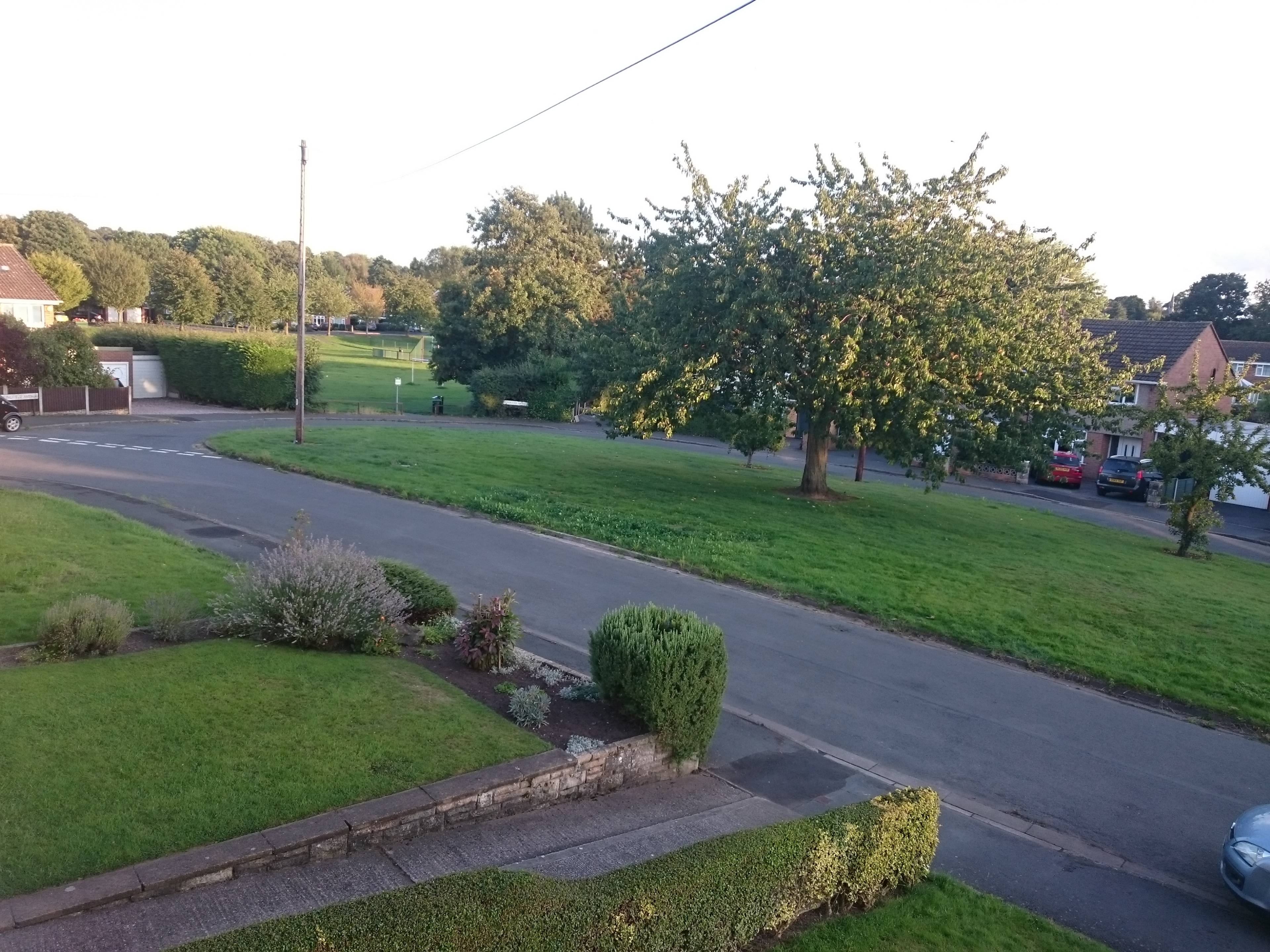 View