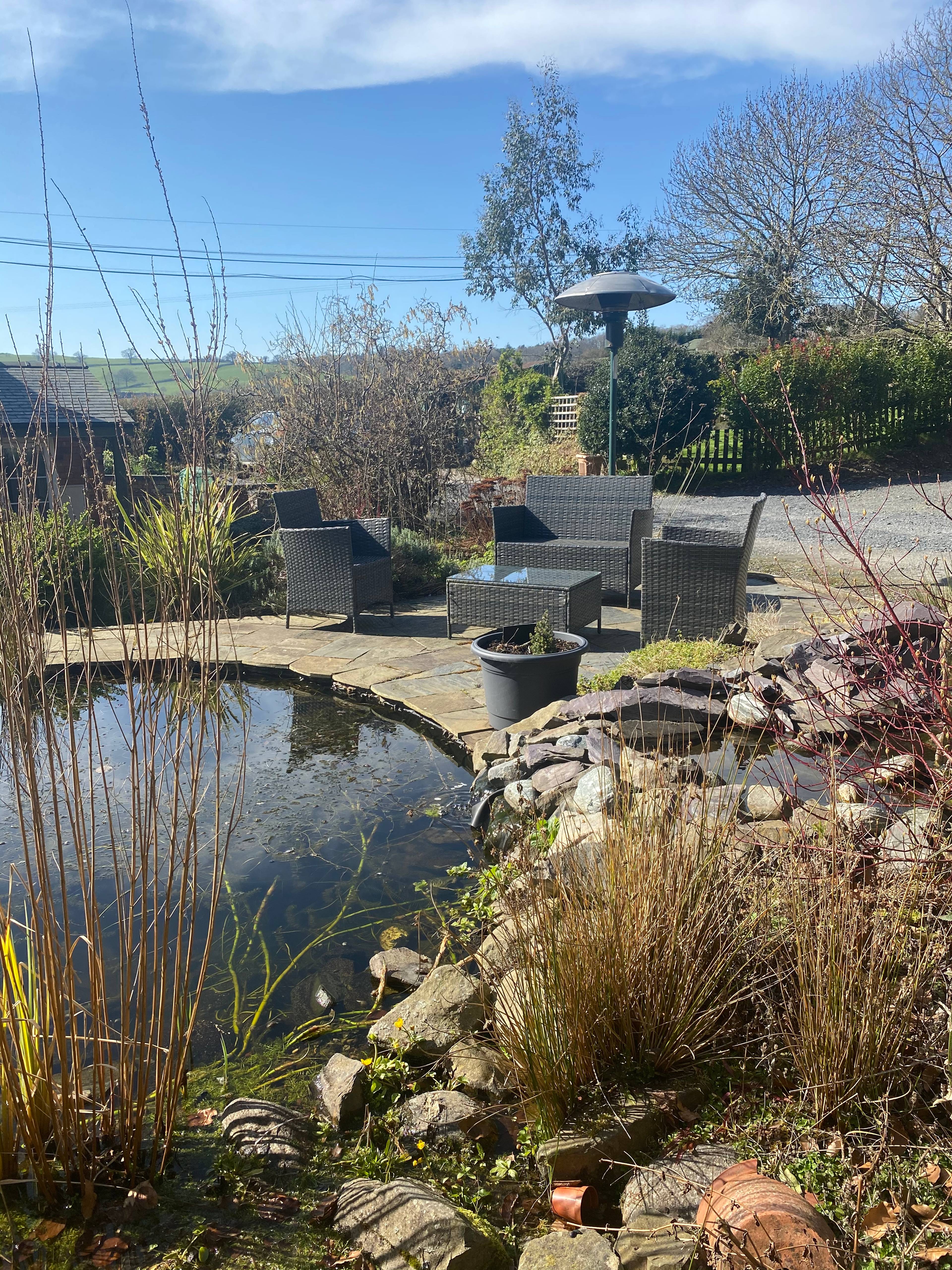 Pond