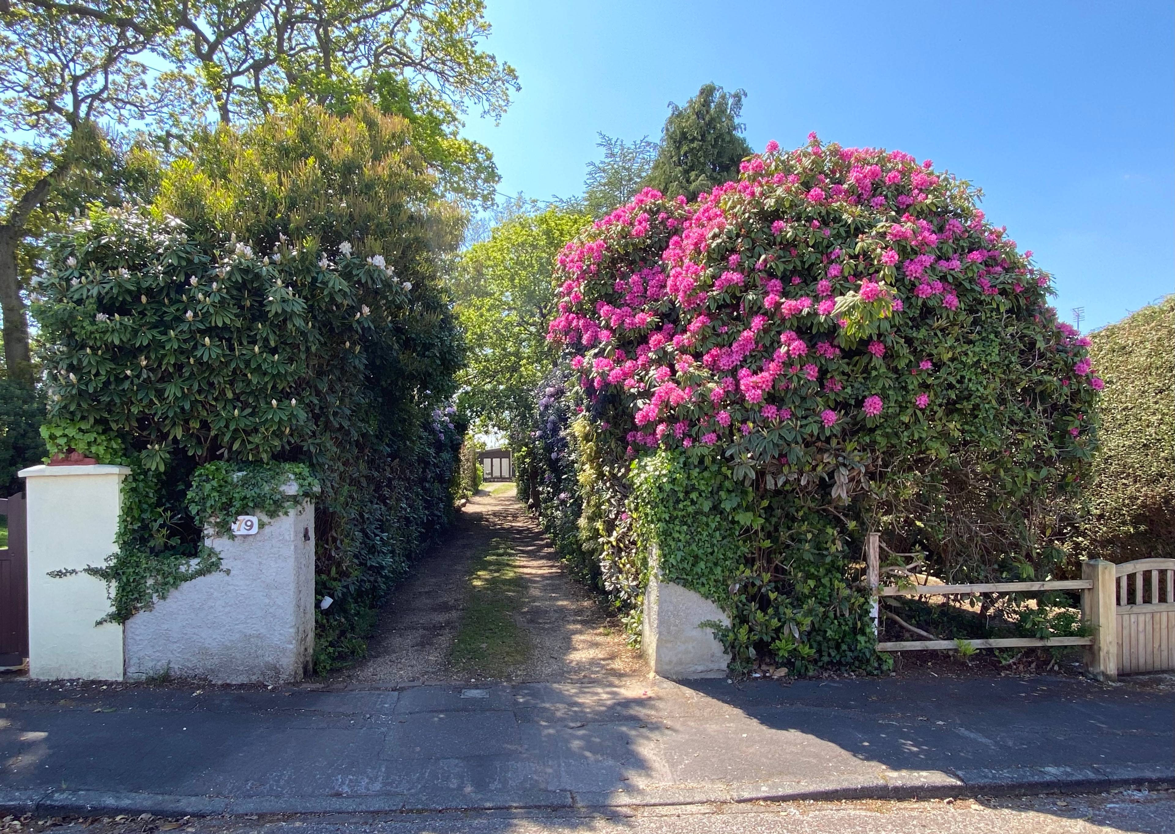 Driveway