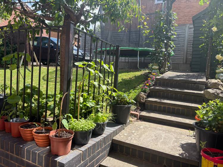3 bedroom semi-detached house