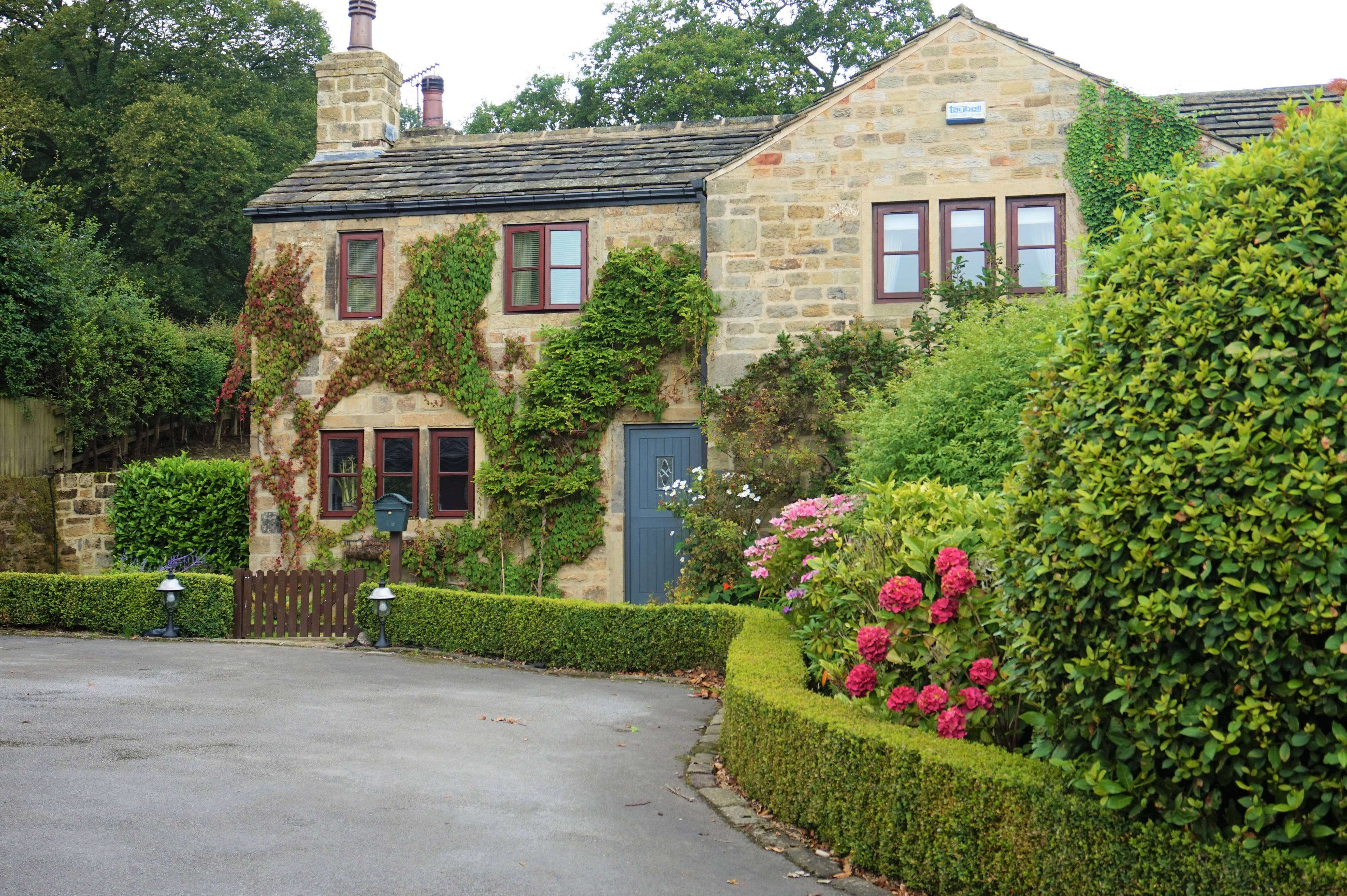 The Property