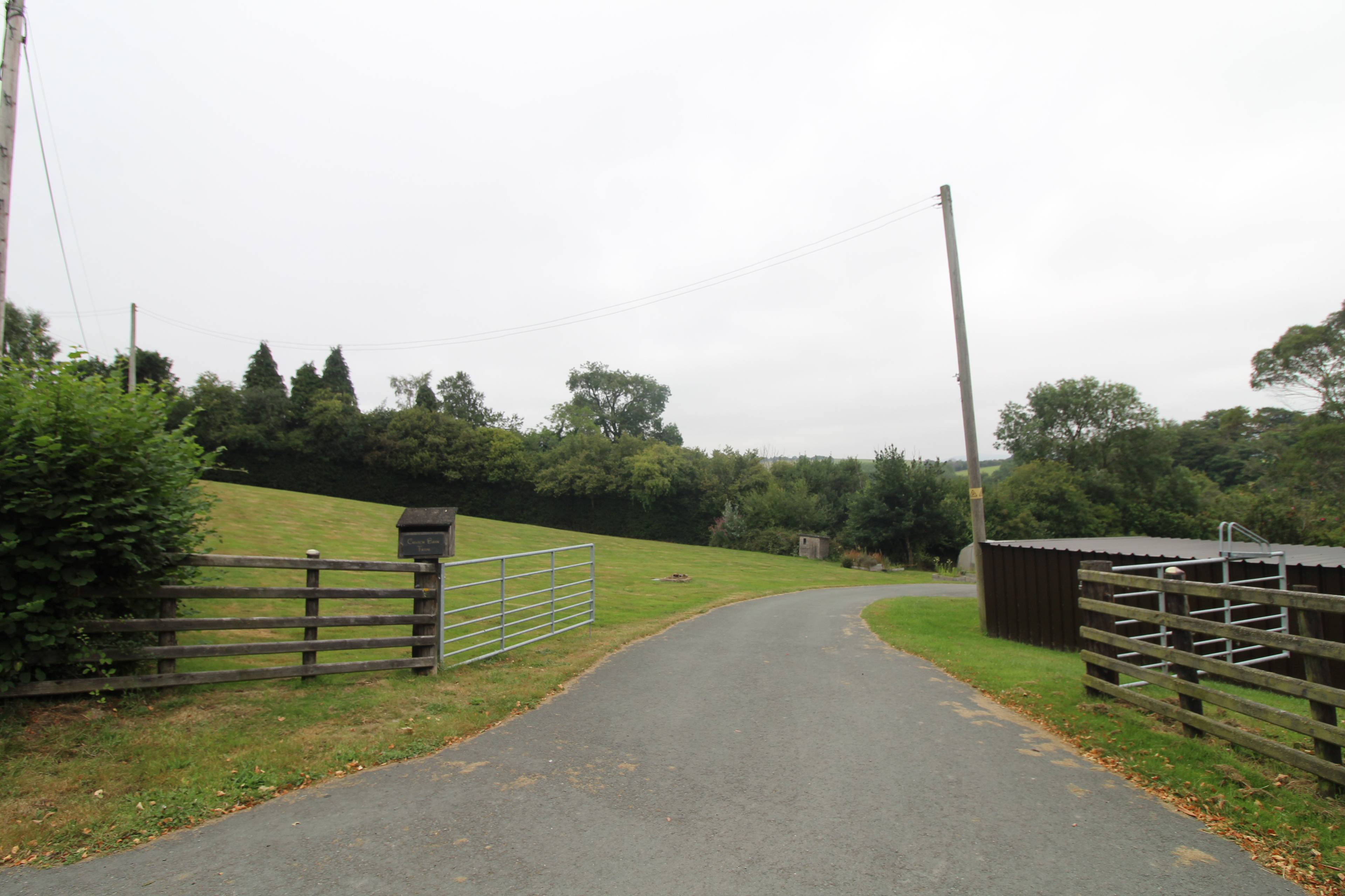 Driveway