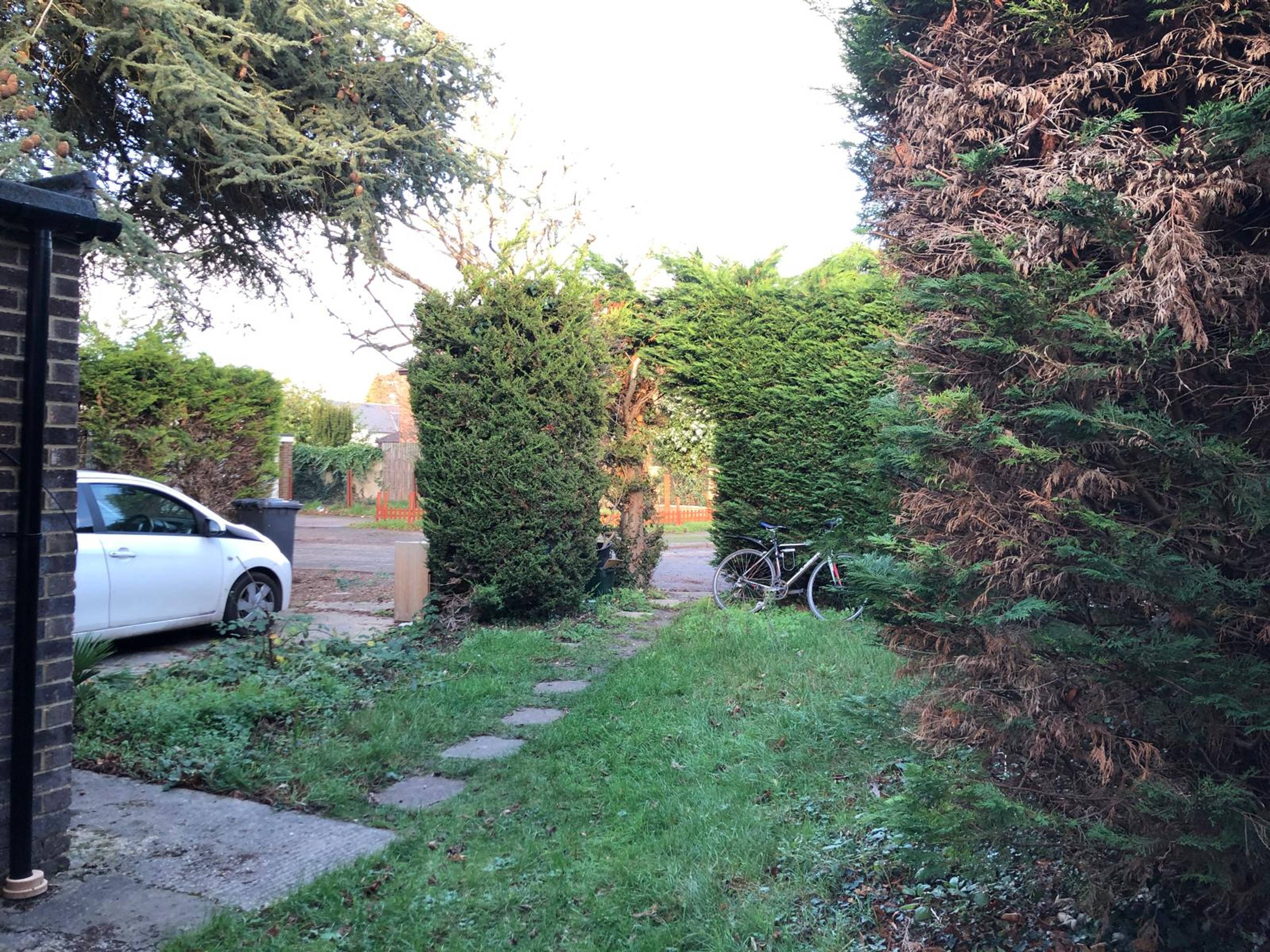 Front Garden