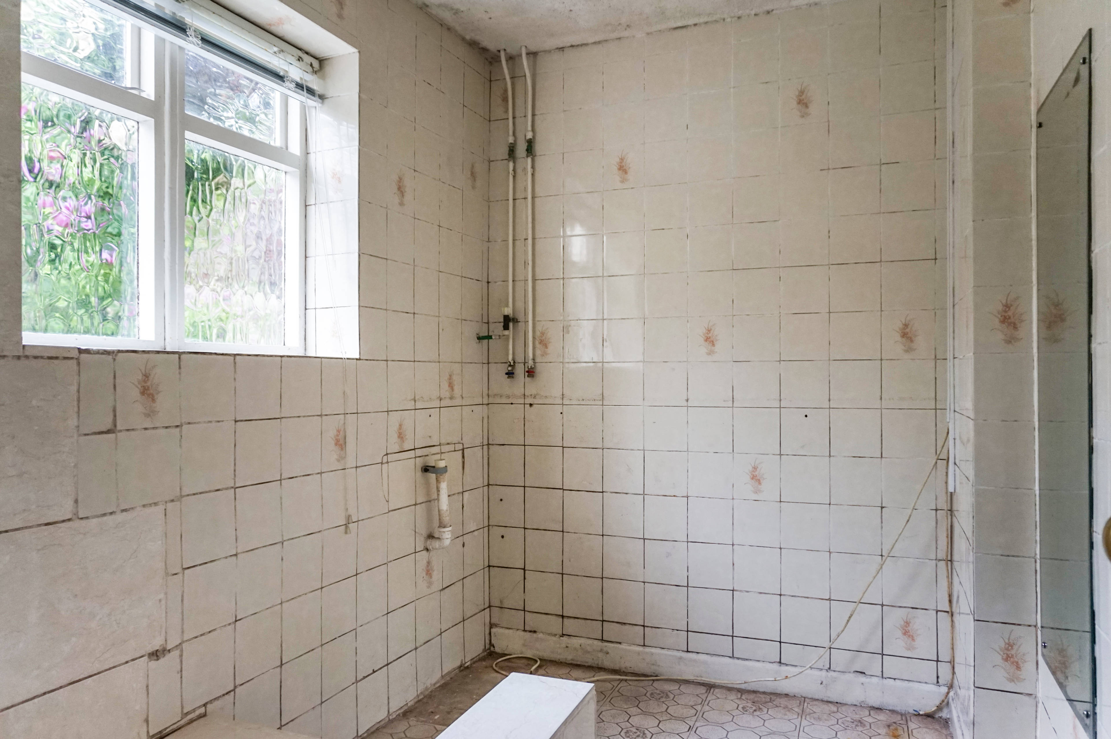 Downstairs Shower