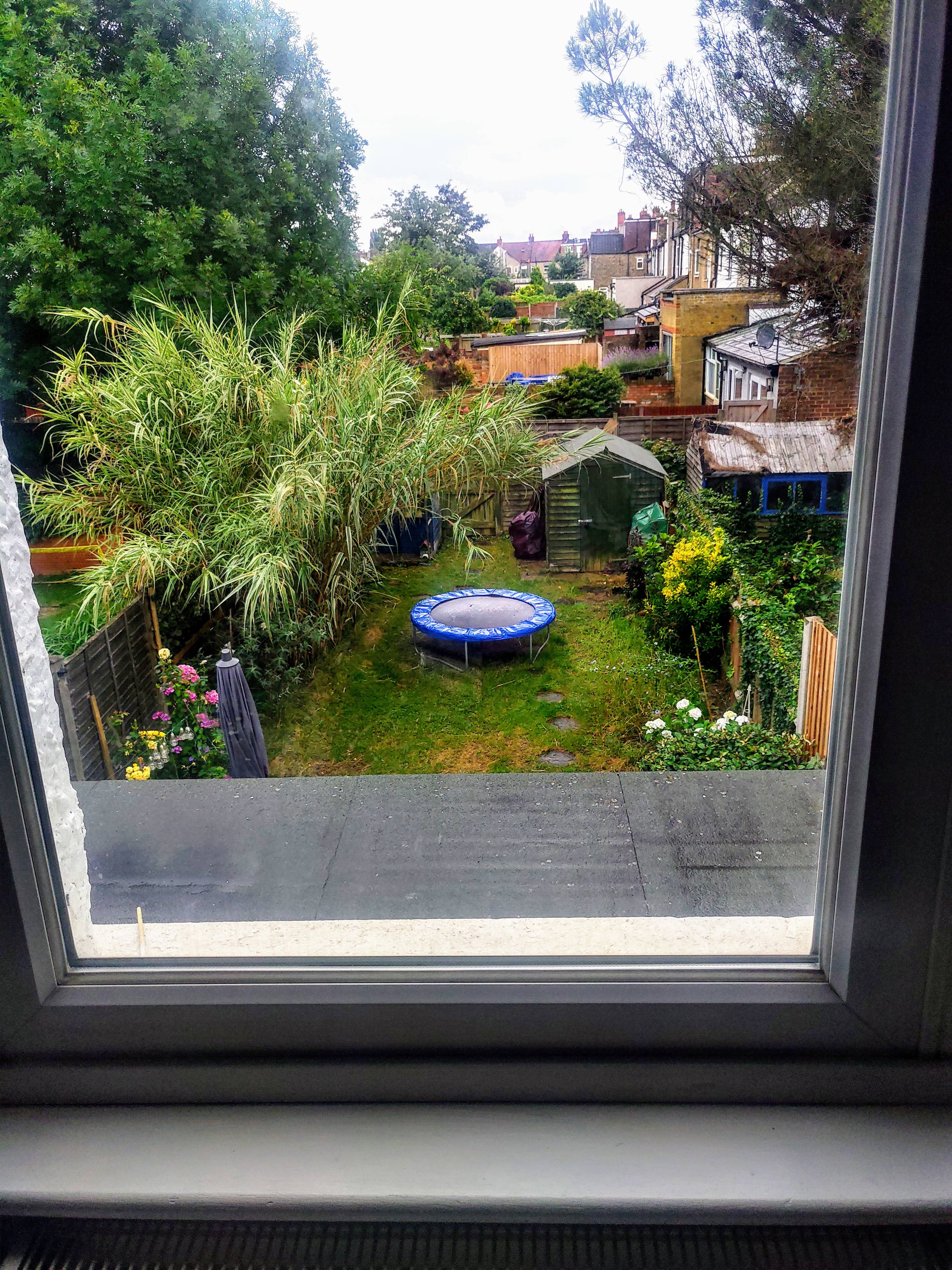 Mature Garden