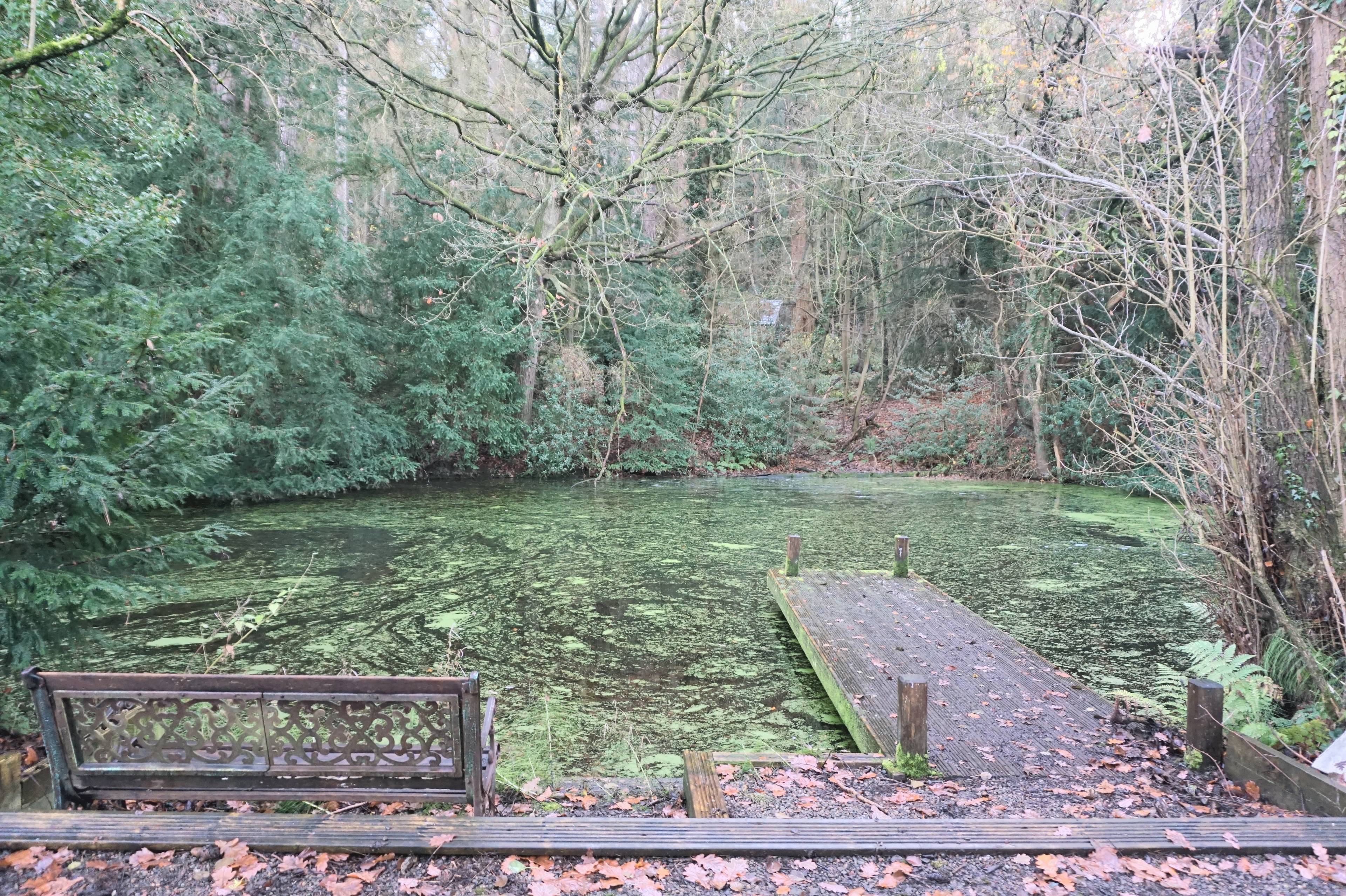 Lake