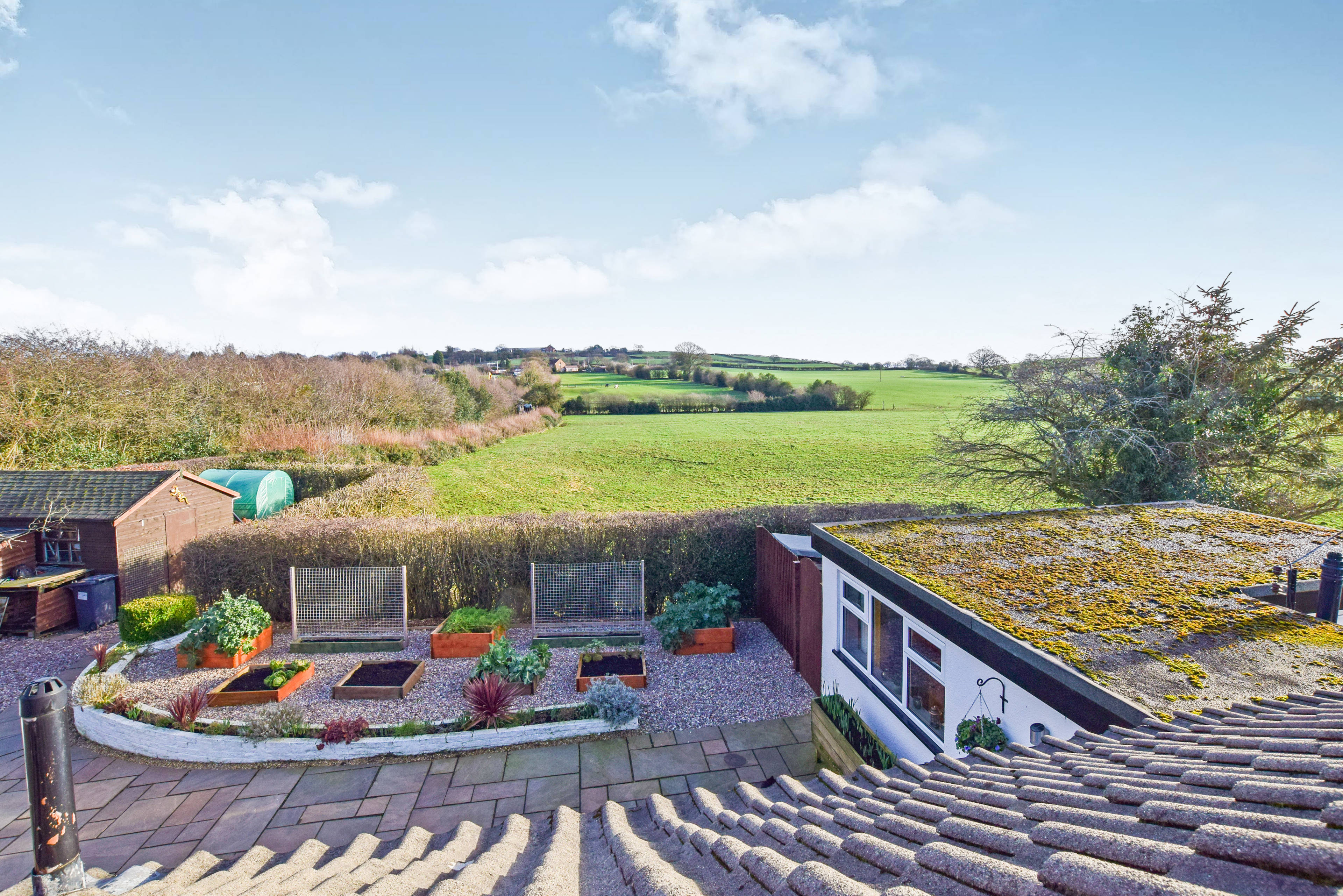 Front View