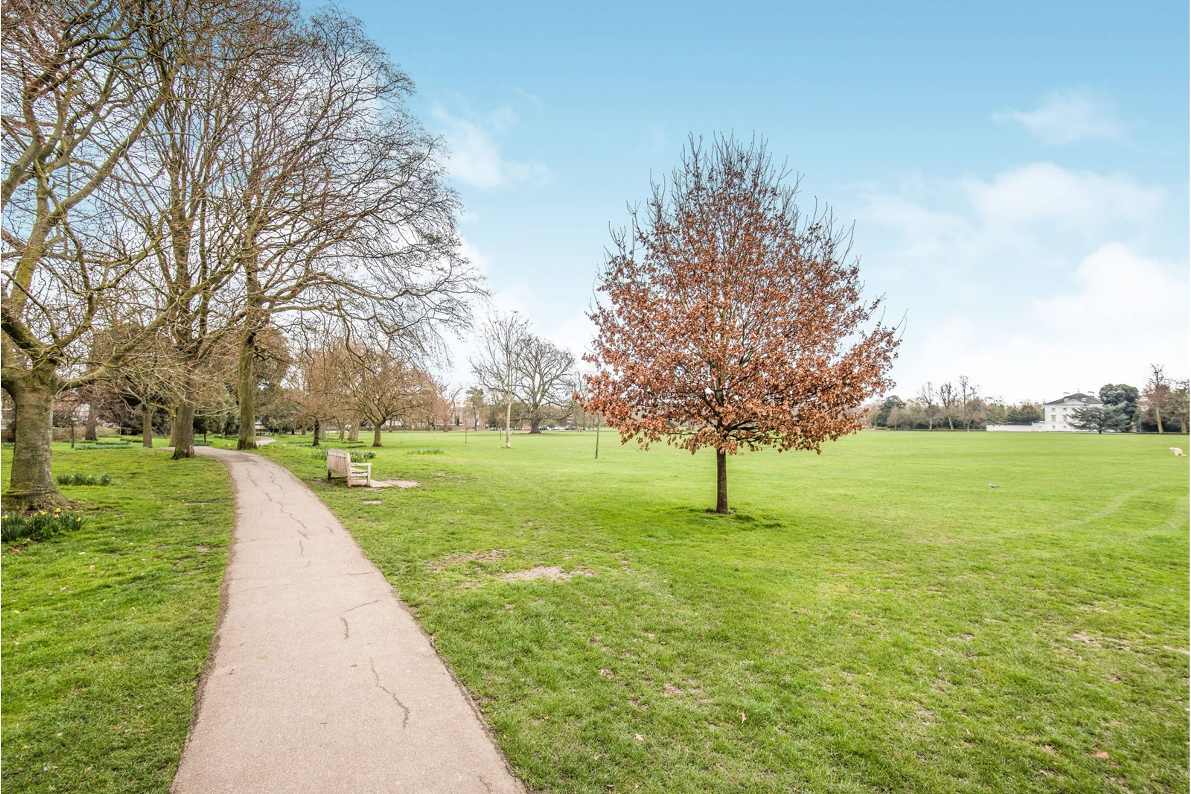 Nearby Park