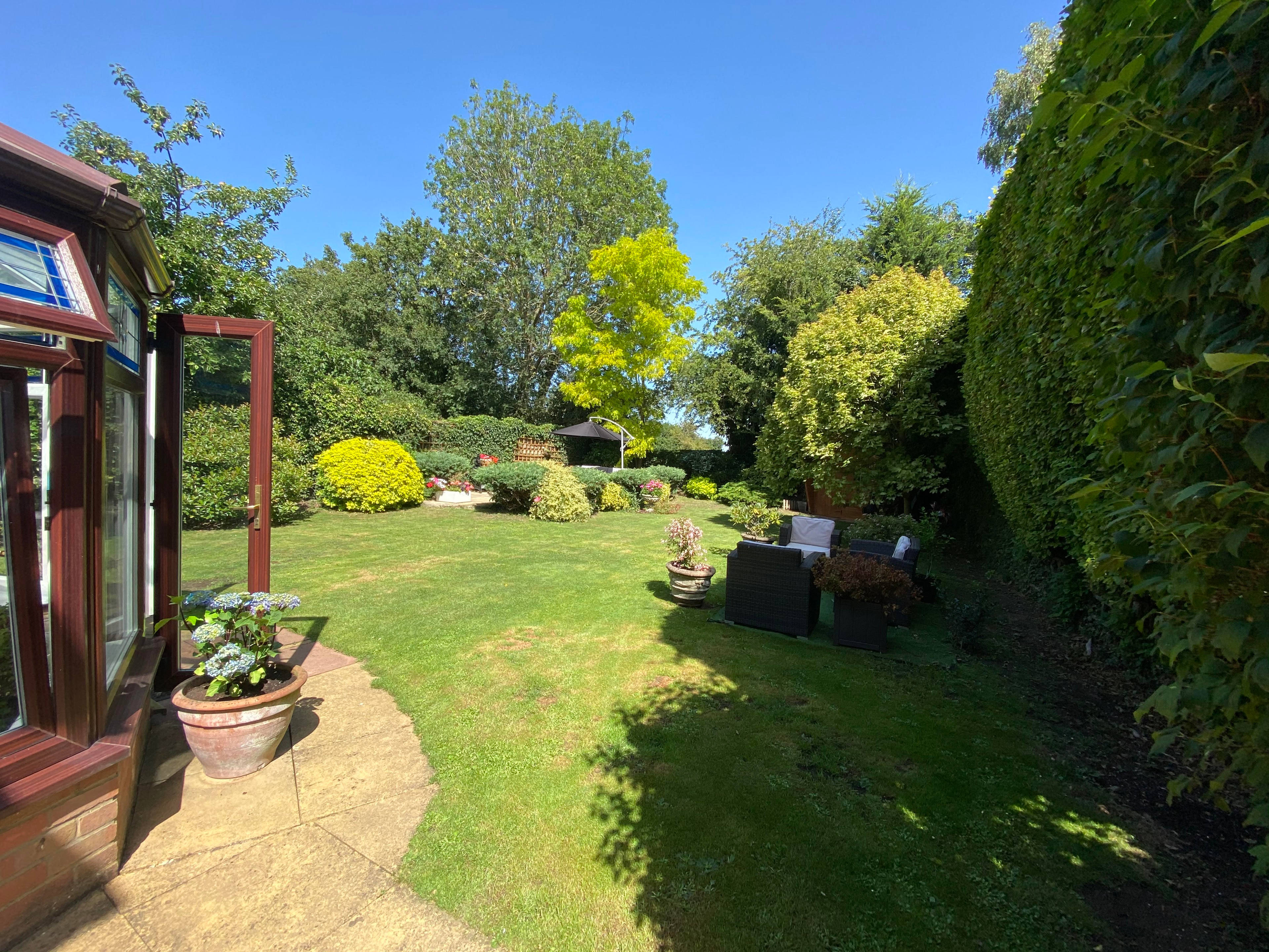 Mature Garden