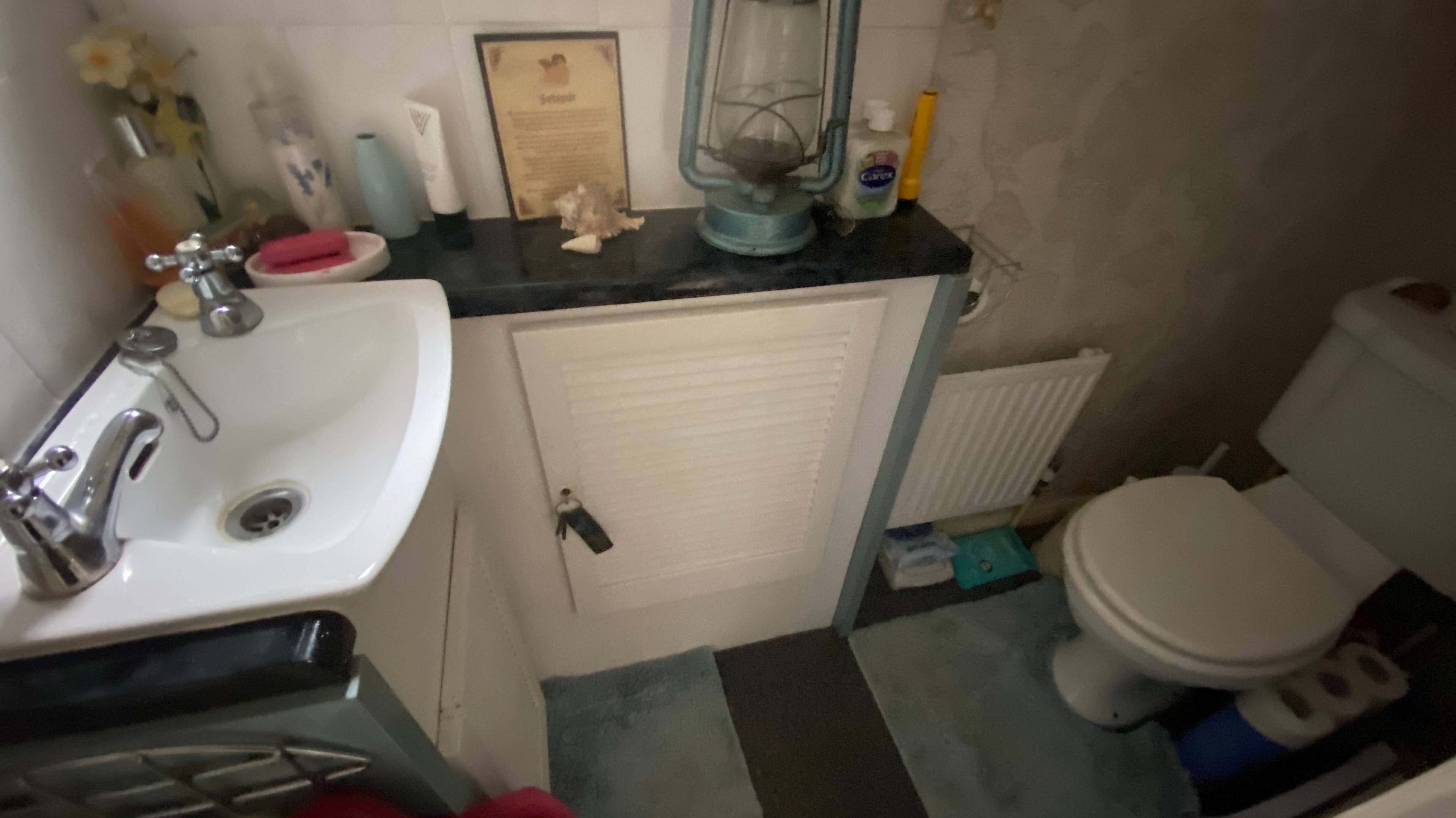 Downstairs Cloakroom