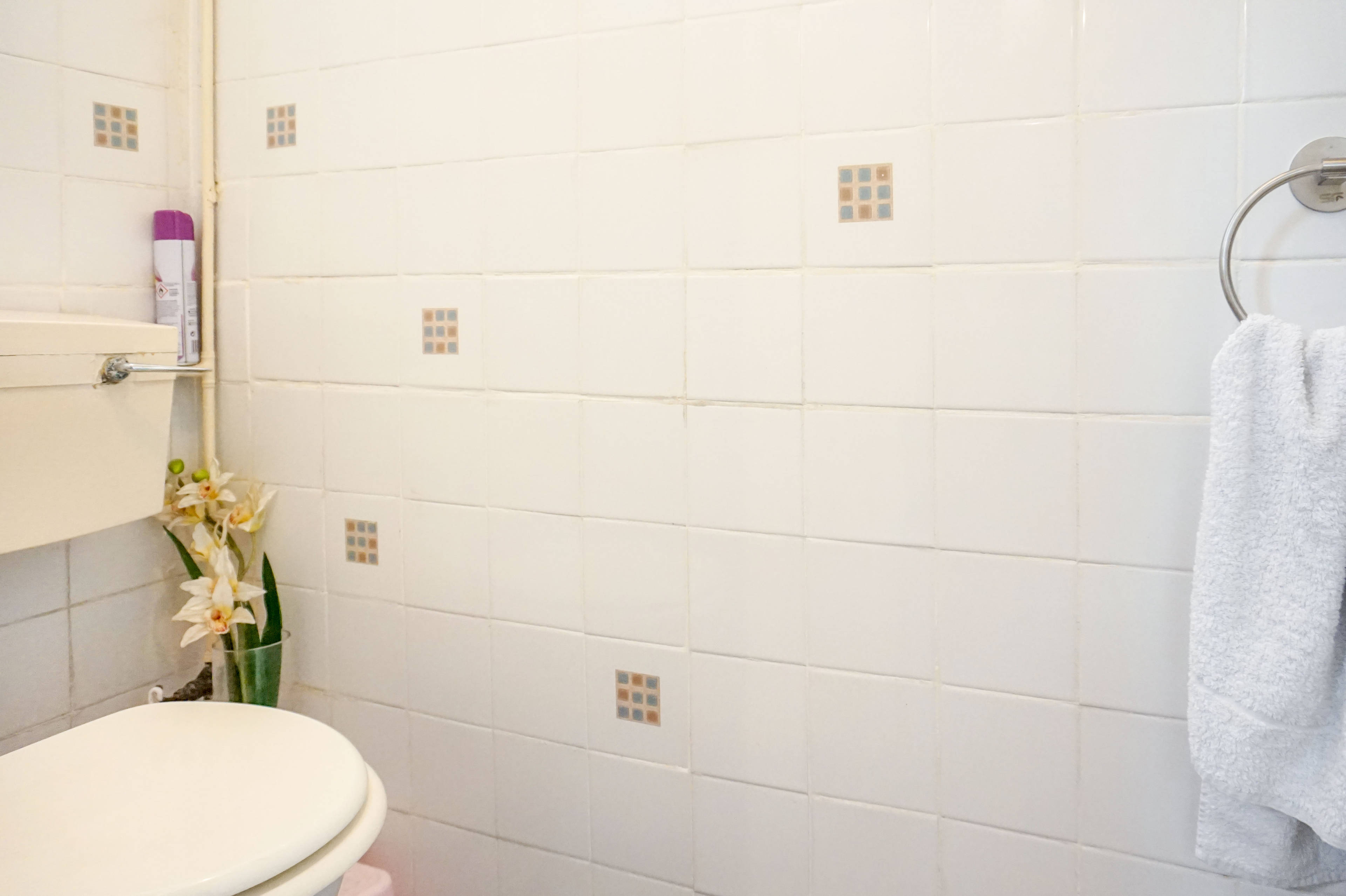 Downstairs Cloakroom
