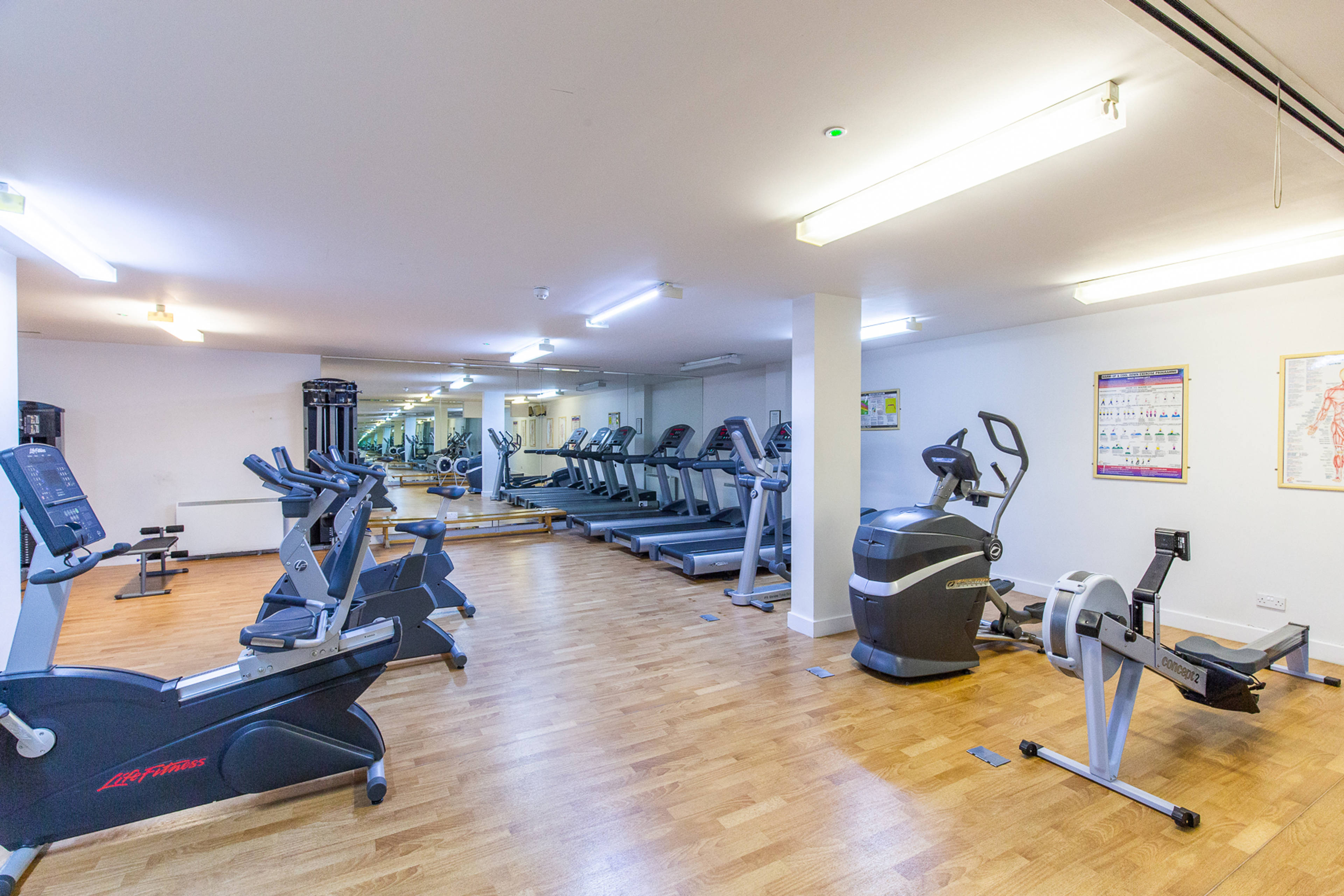 Gym