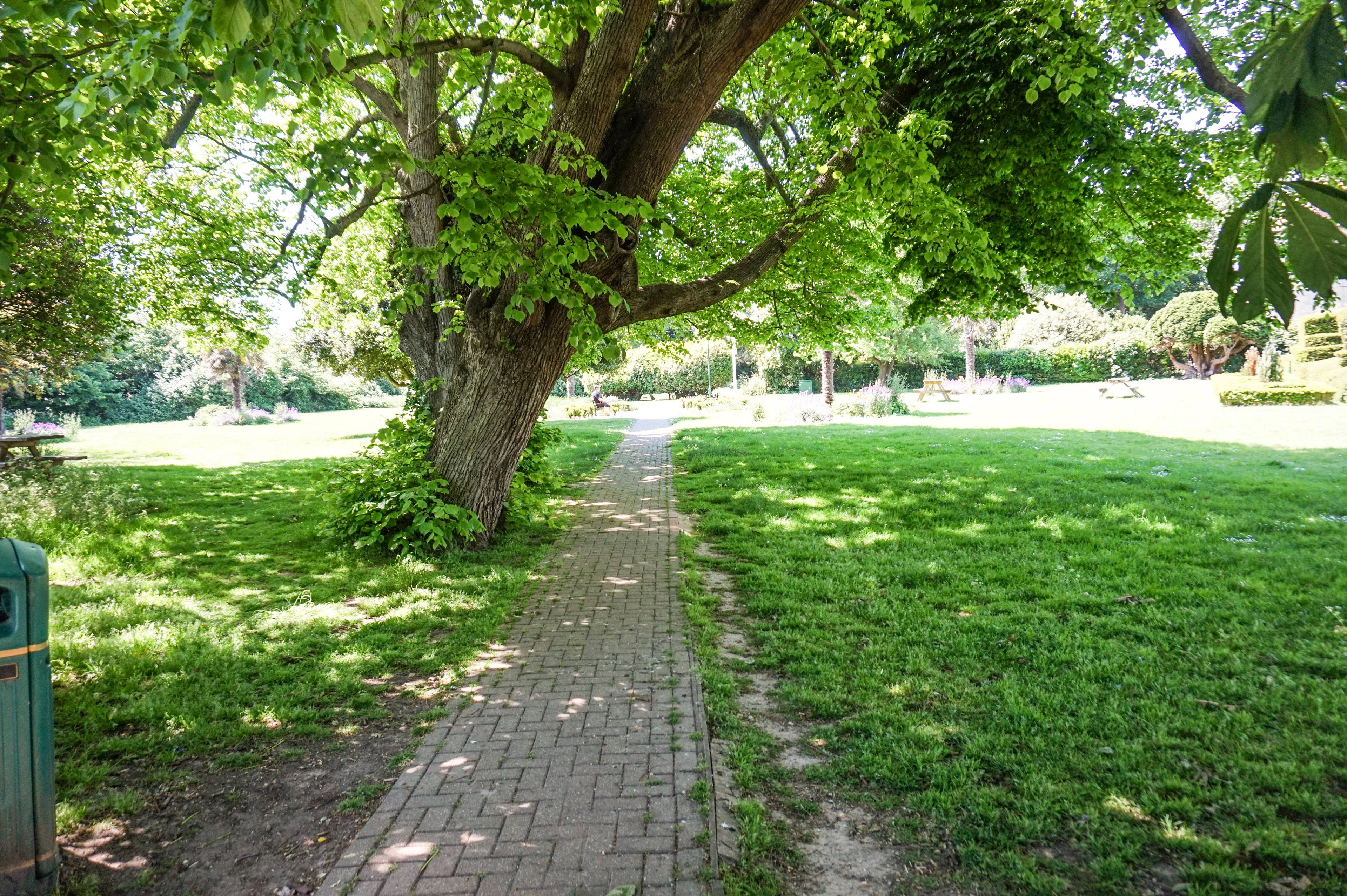 Nearby Park