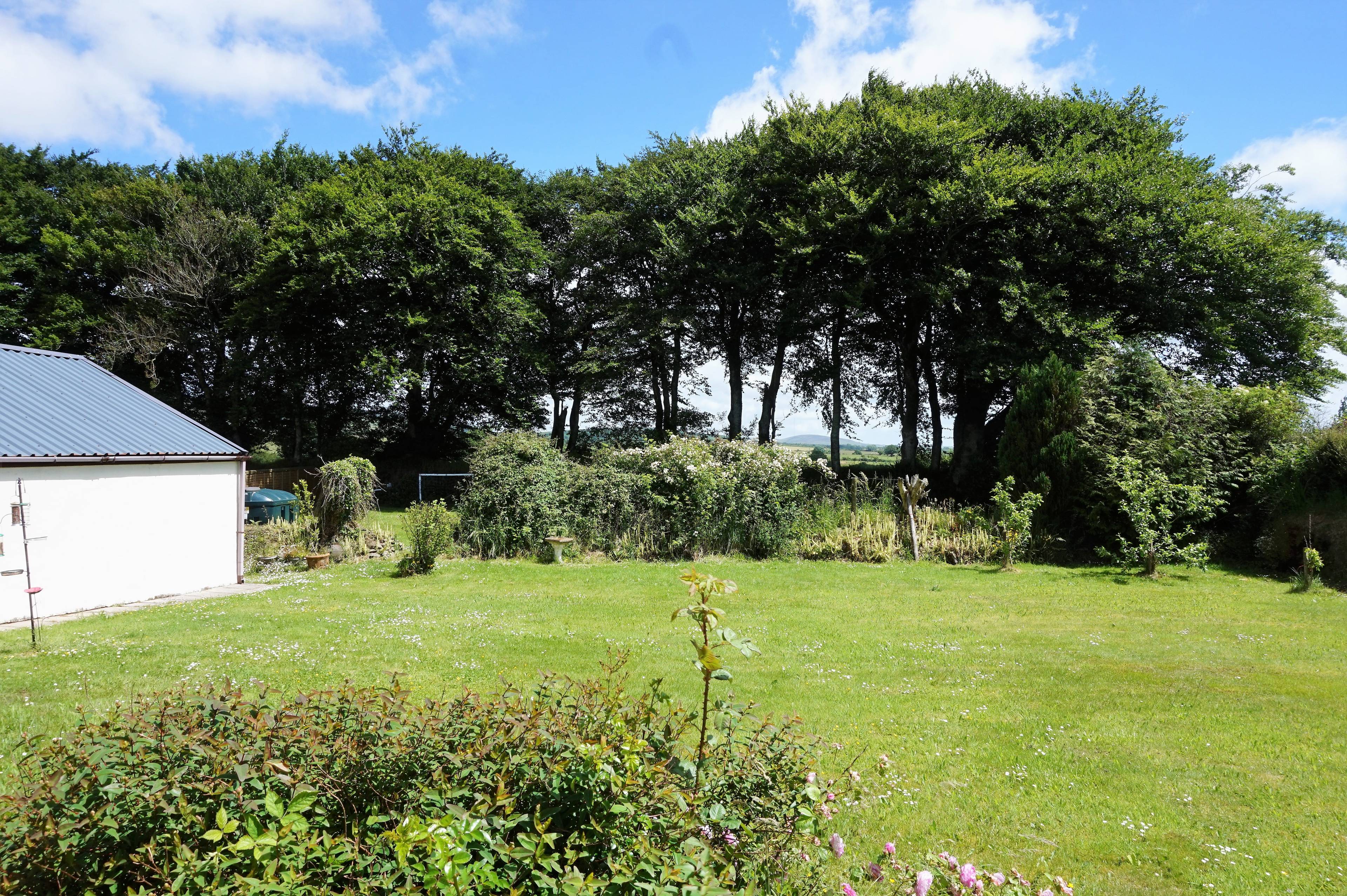 Mature Garden