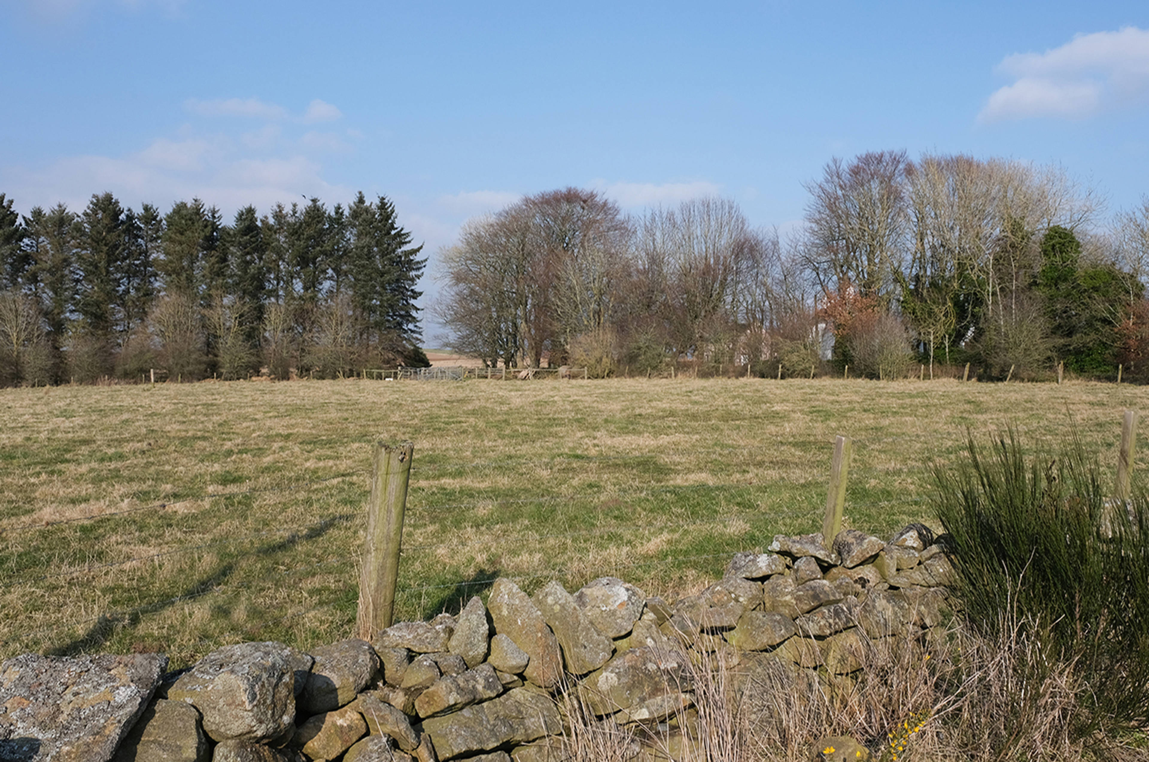Land