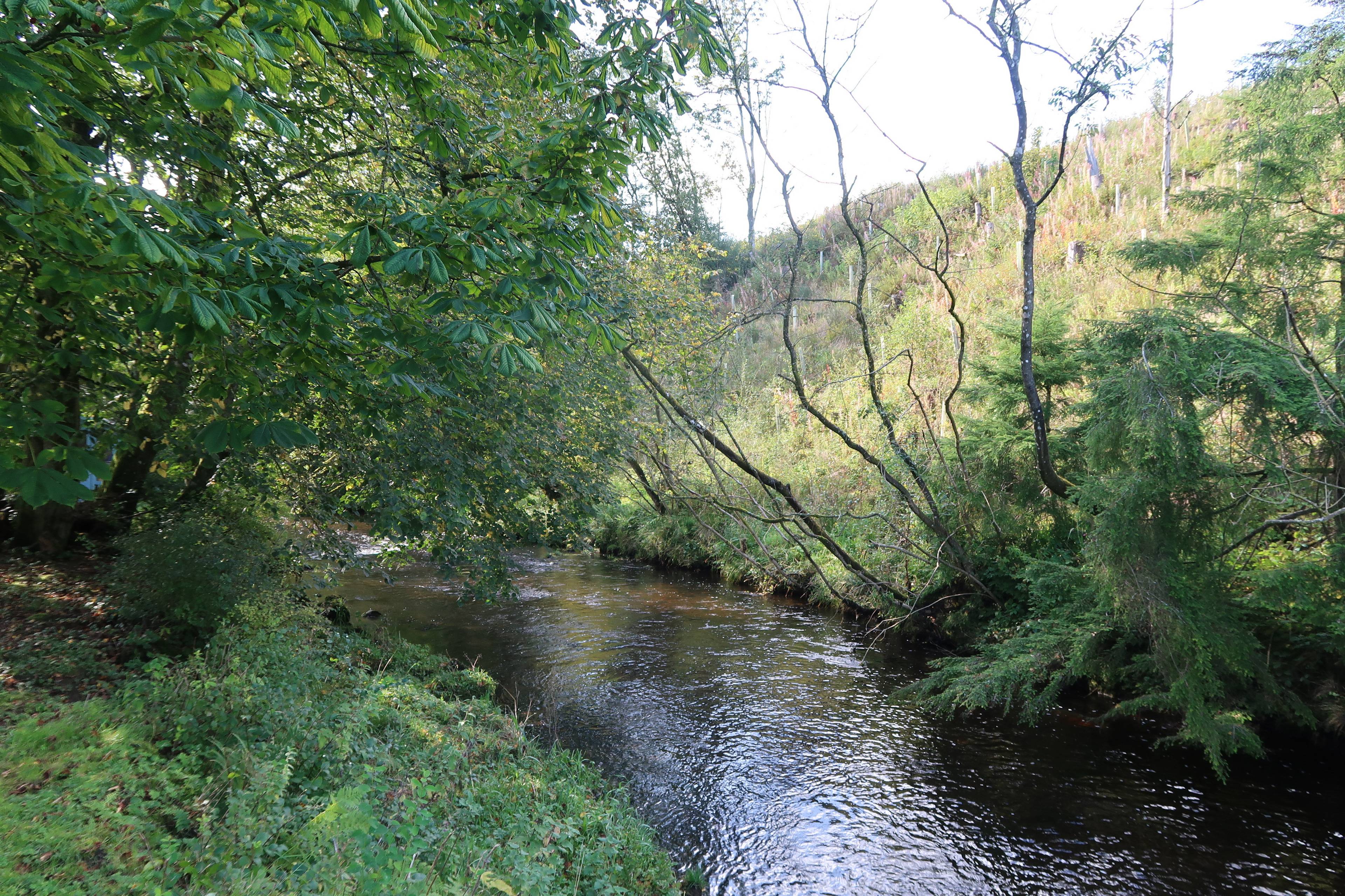 Nearby River